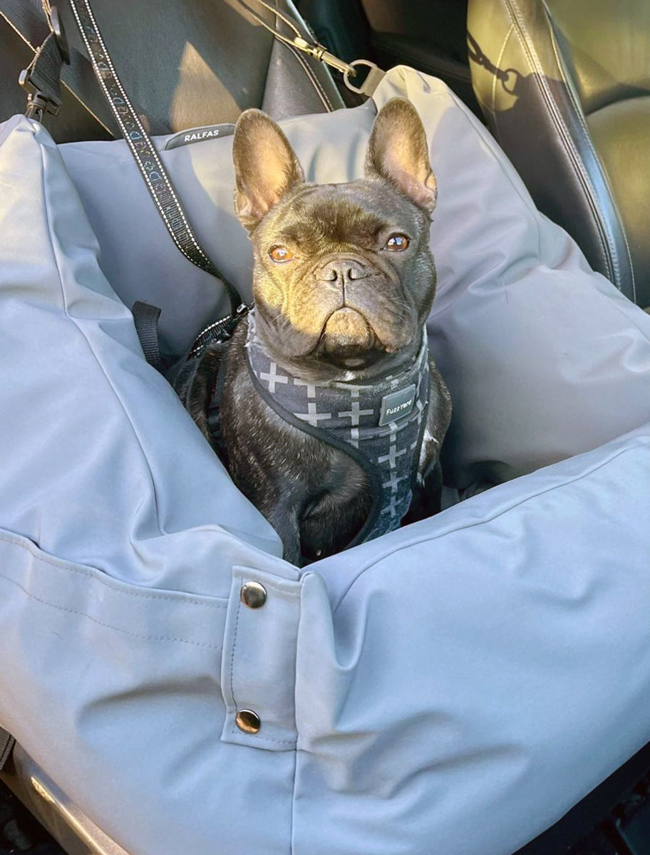 Transportador de auto | PASEOS