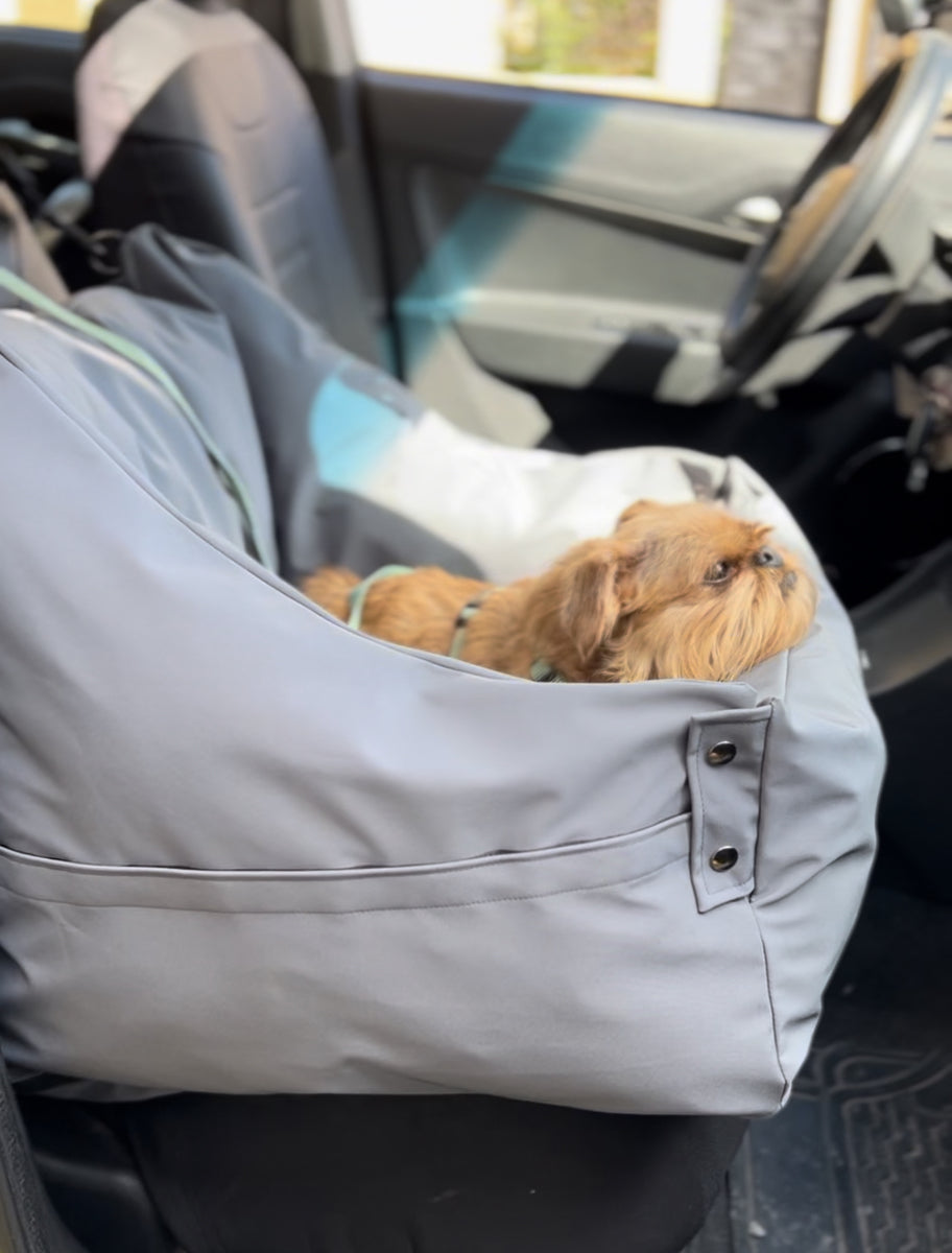 Transportador de auto | PASEOS