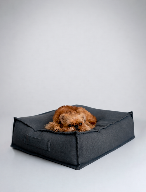 Cama Cojín Gris