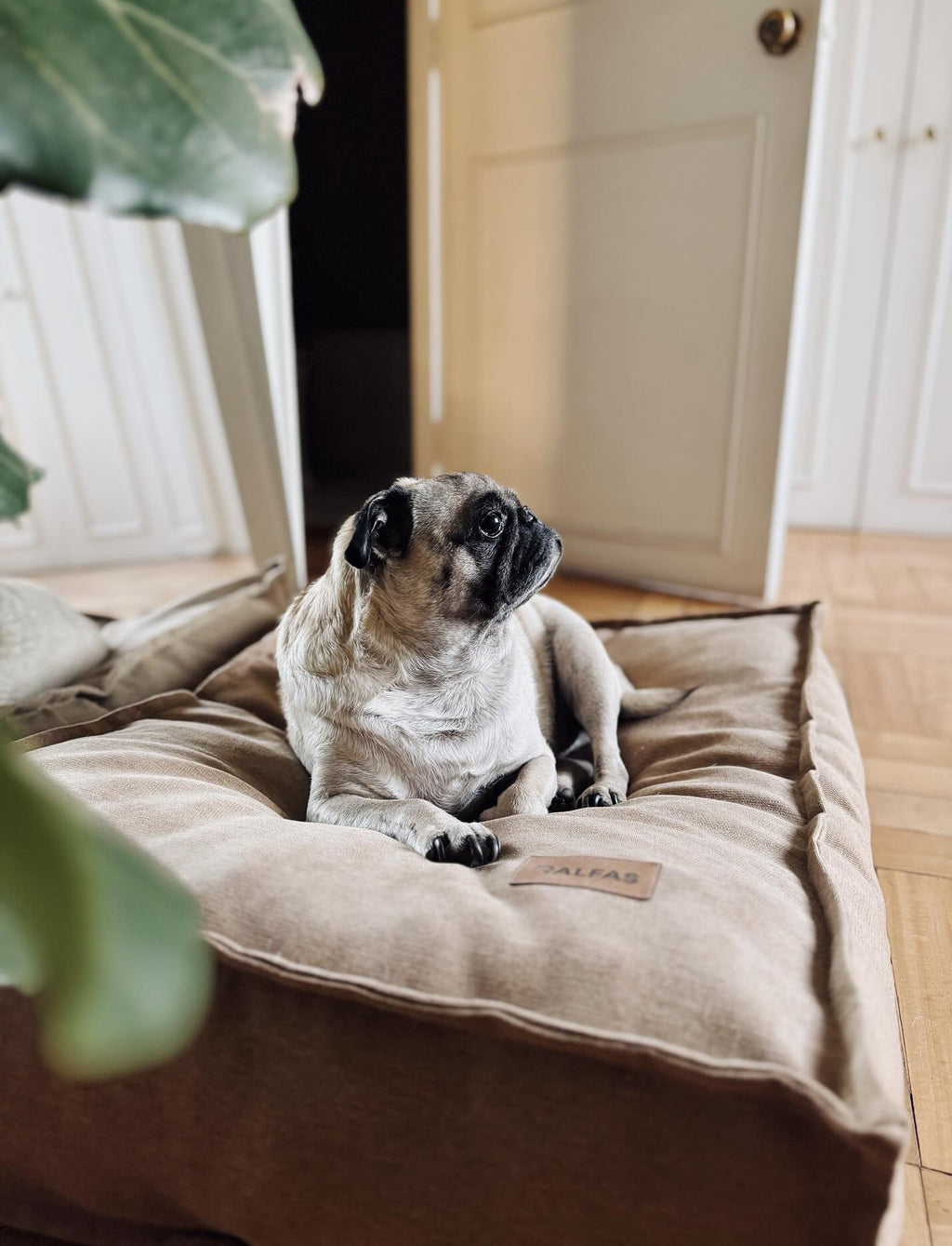 Cama funda desmontable Canela