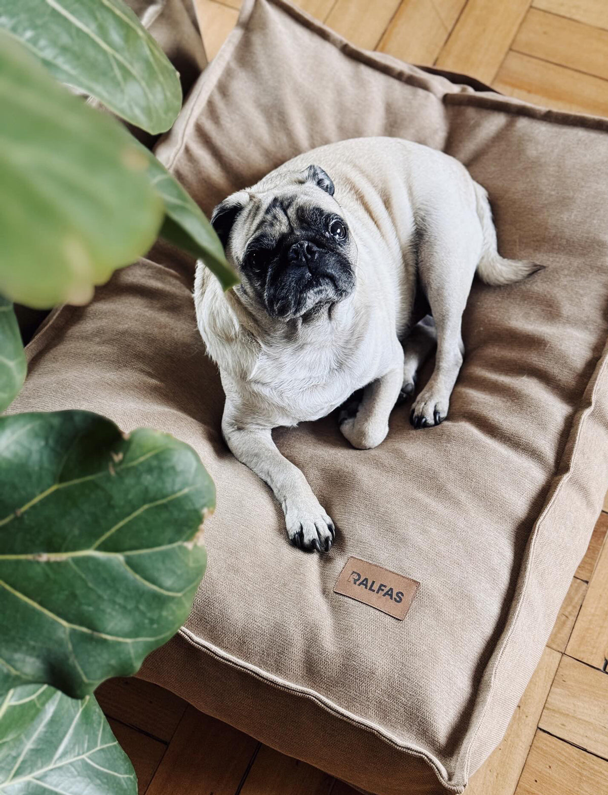Cama funda desmontable Canela