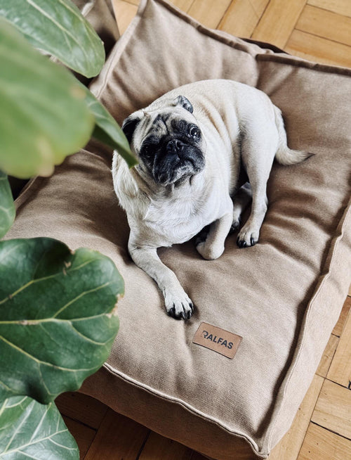 Cama funda desmontable Canela