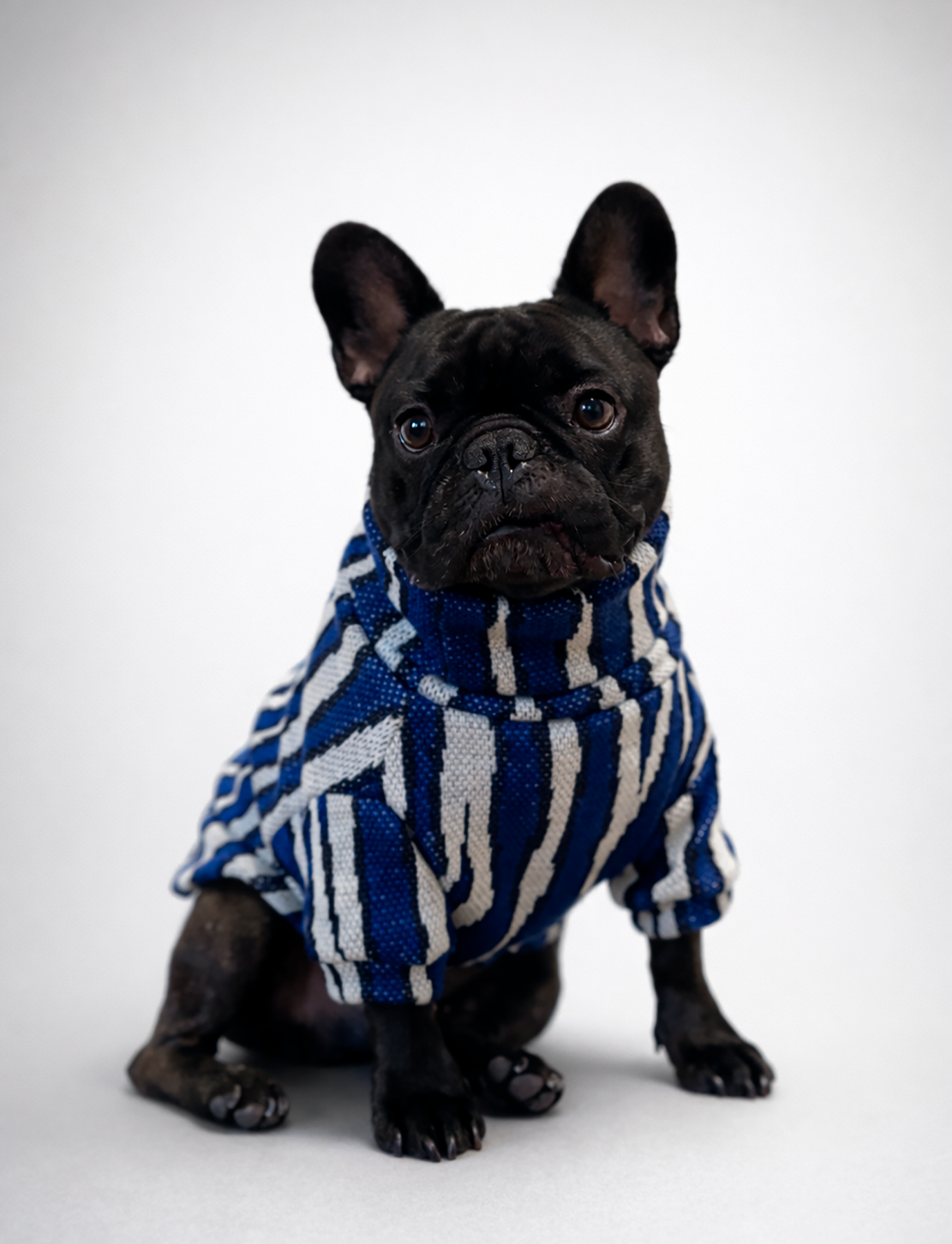 Chaleco Cuello Alto Zebra Azul