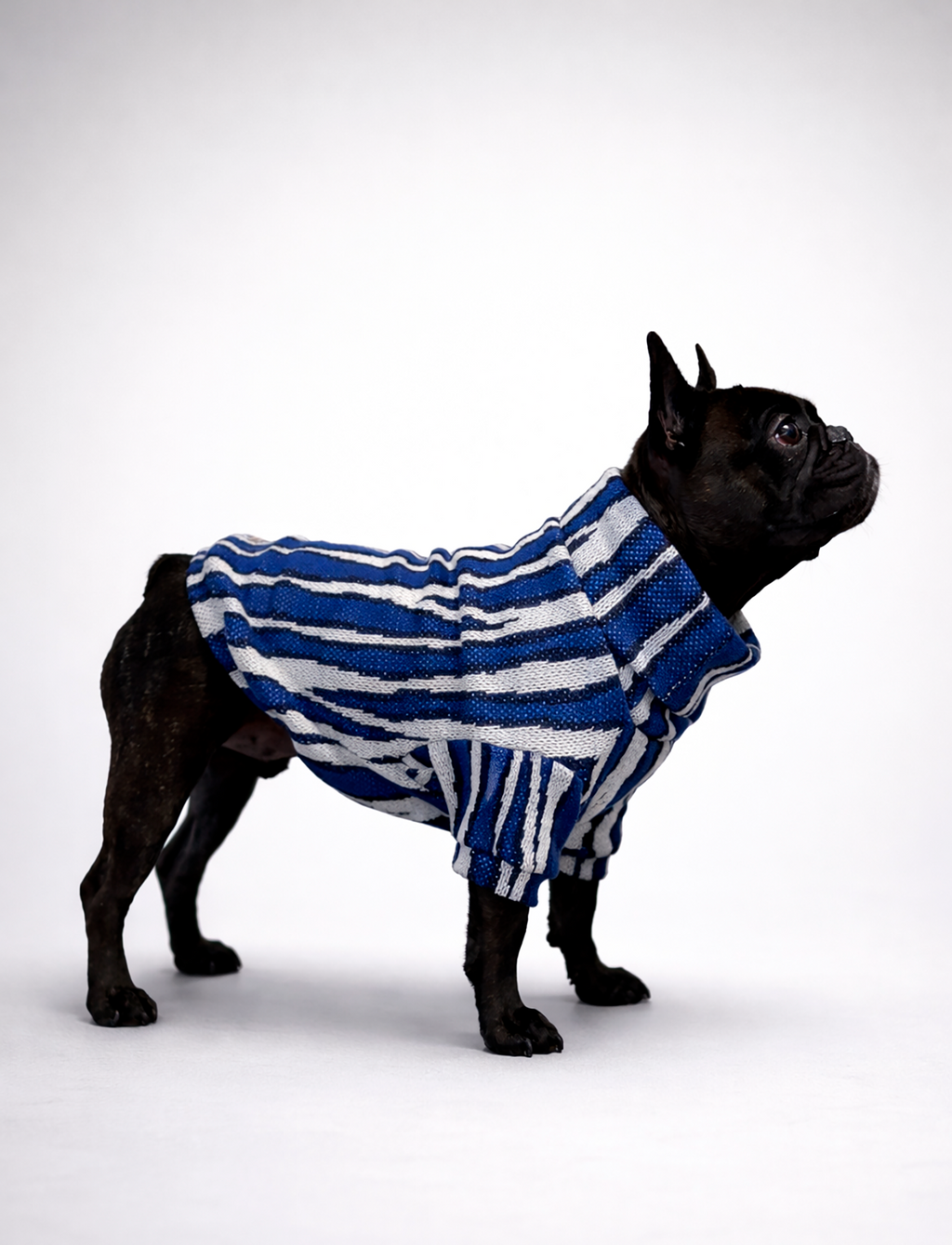 Chaleco Cuello Alto Zebra Azul