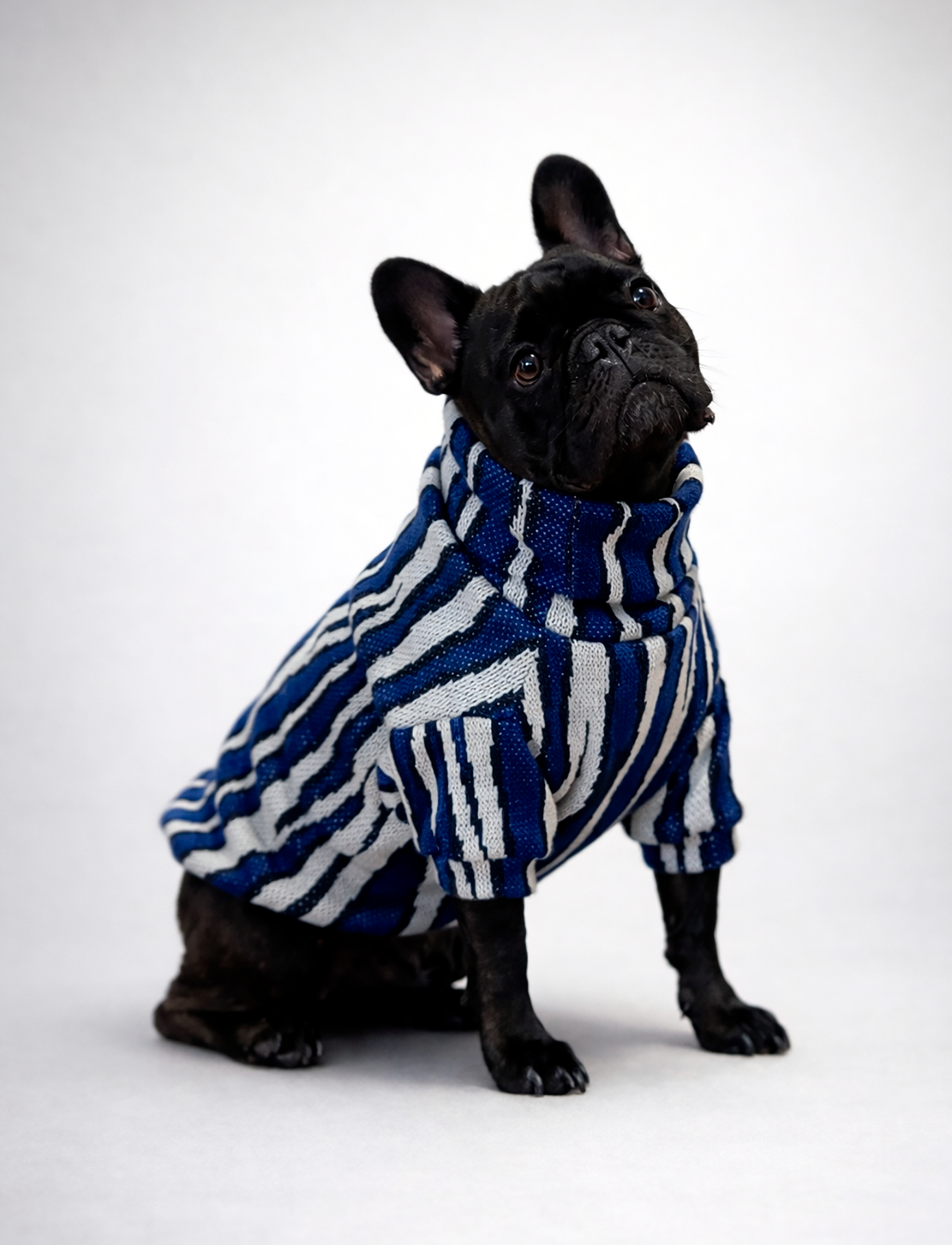 Chaleco Cuello Alto Zebra Azul