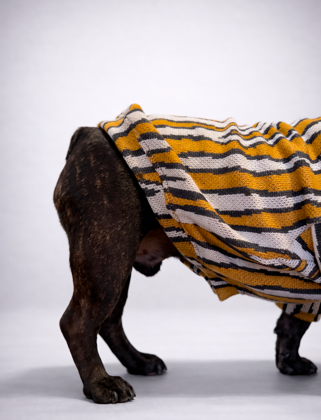 Chaleco Cuello Alto Zebra Mostaza