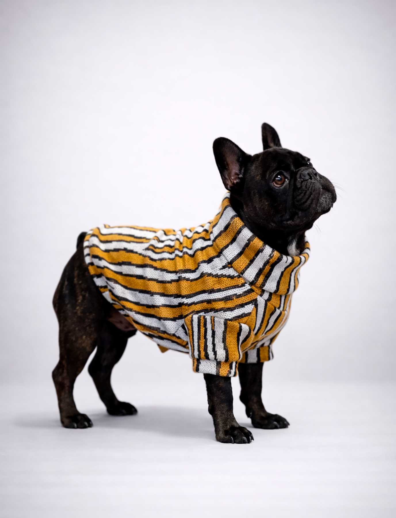 Chaleco Cuello Alto Zebra Mostaza