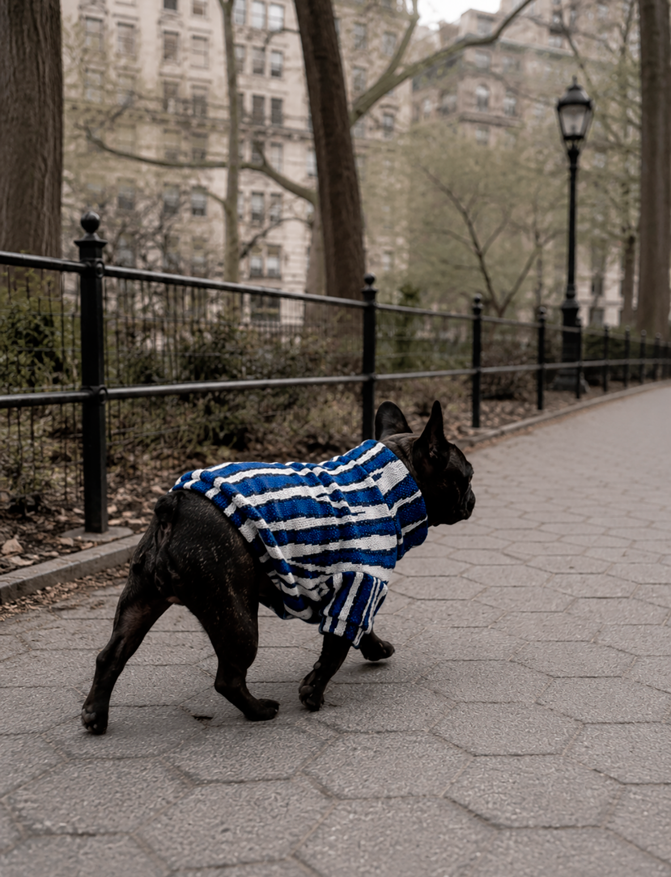 Chaleco Zebra Azul