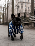 Chaleco Zebra Azul