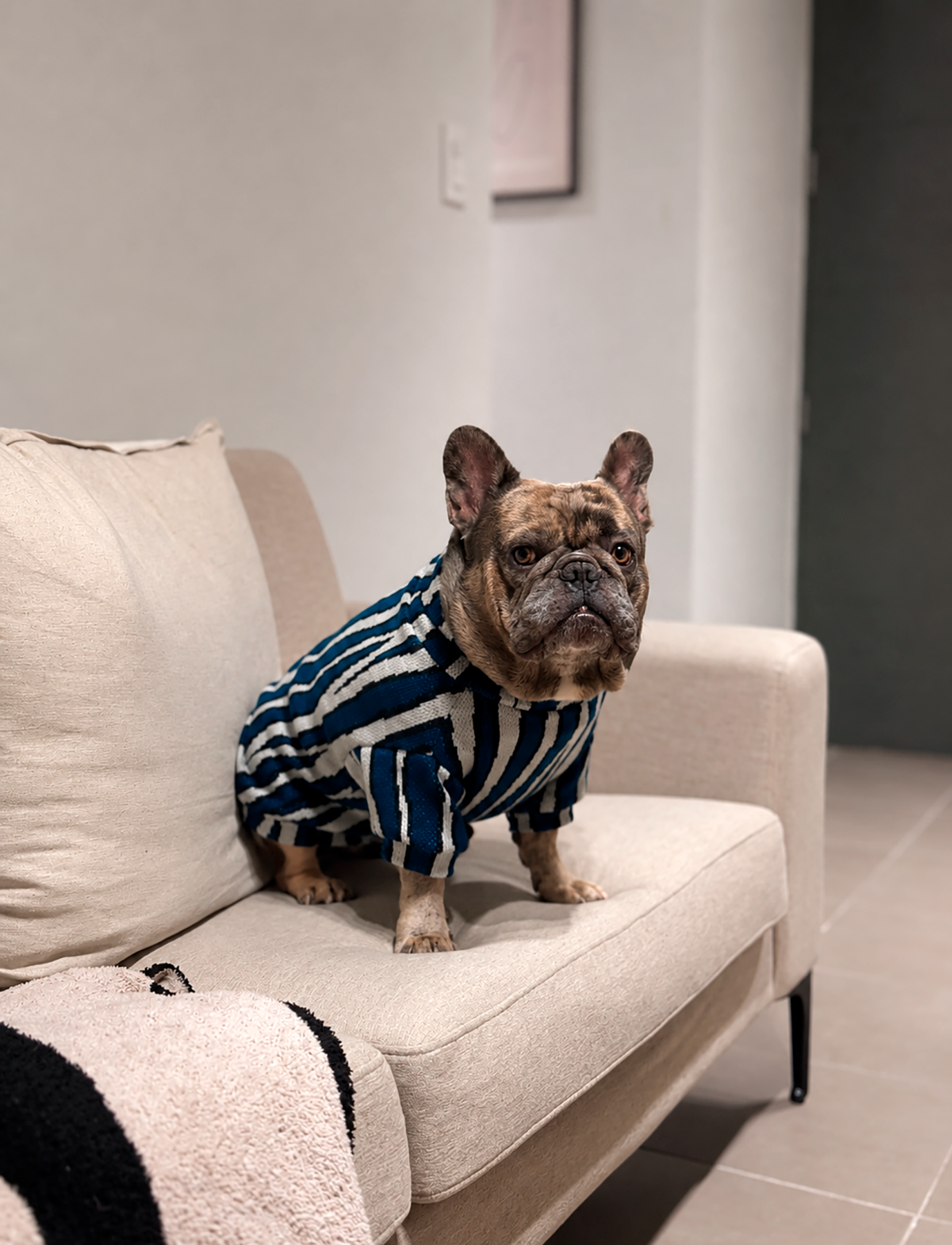 Chaleco Zebra Azul