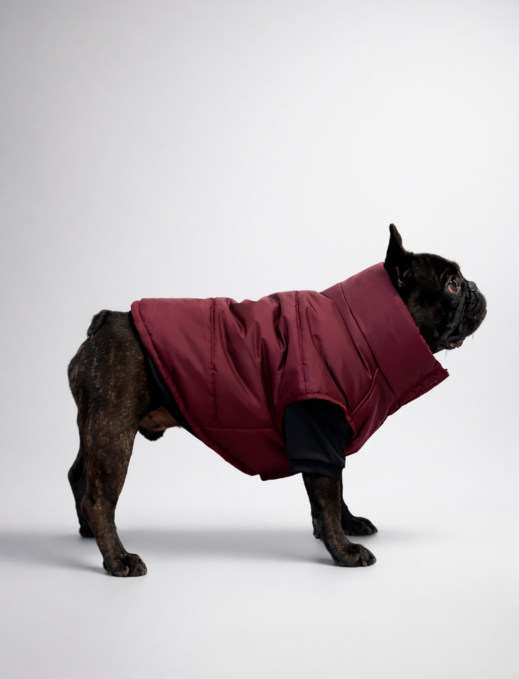 Chaqueta Puffer Burdeo