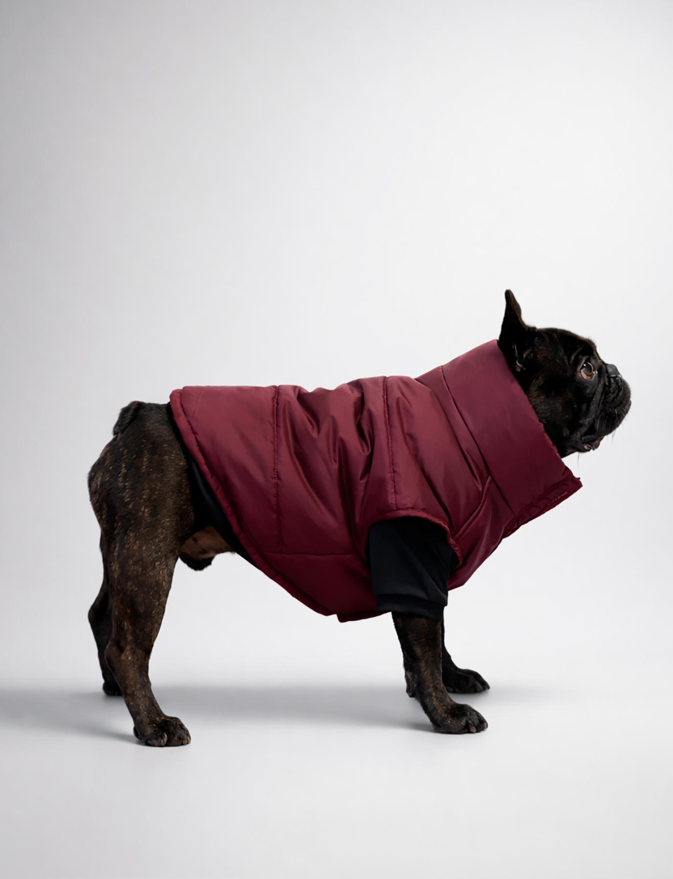 Chaqueta Puffer Burdeo