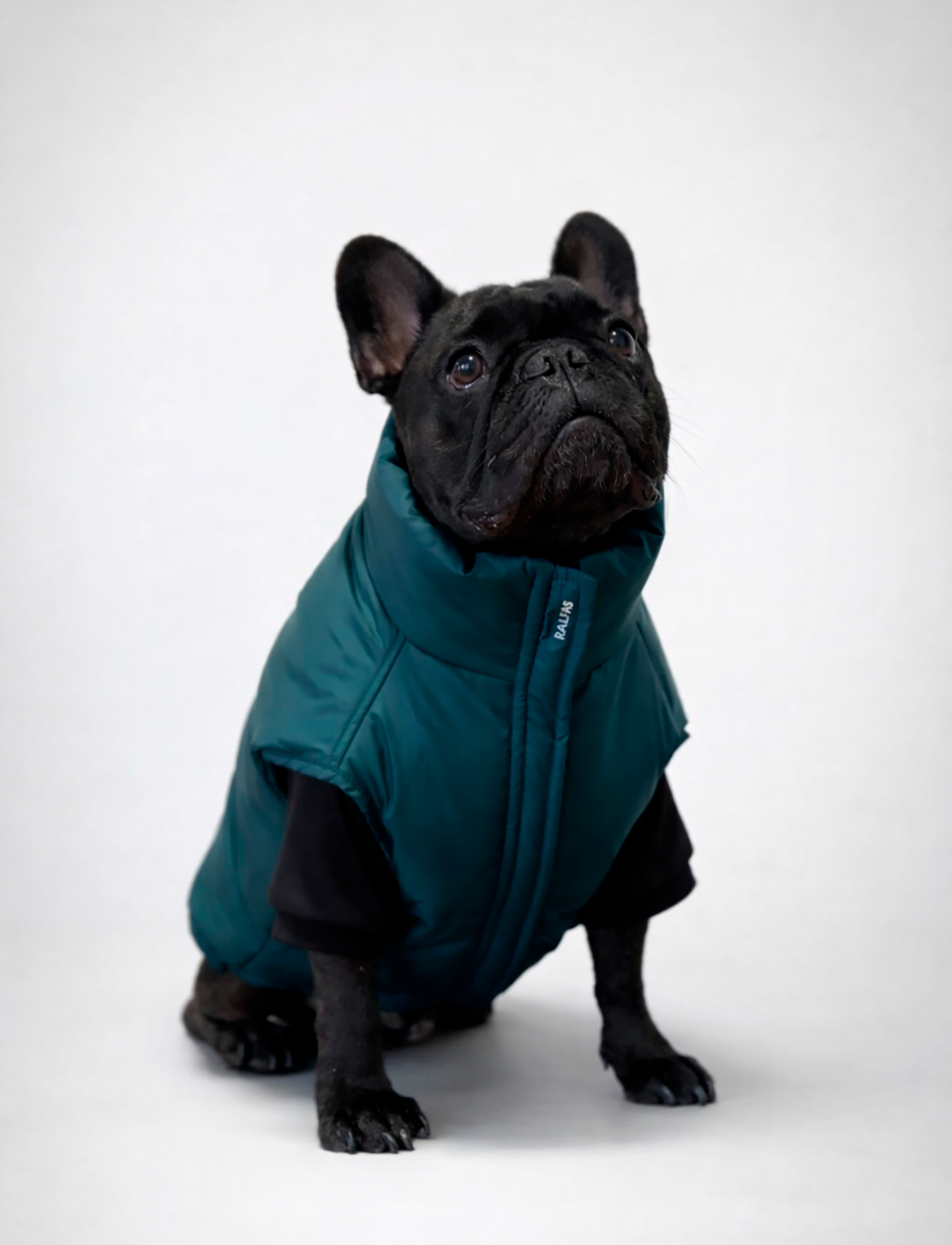 Chaqueta Puffer Verde