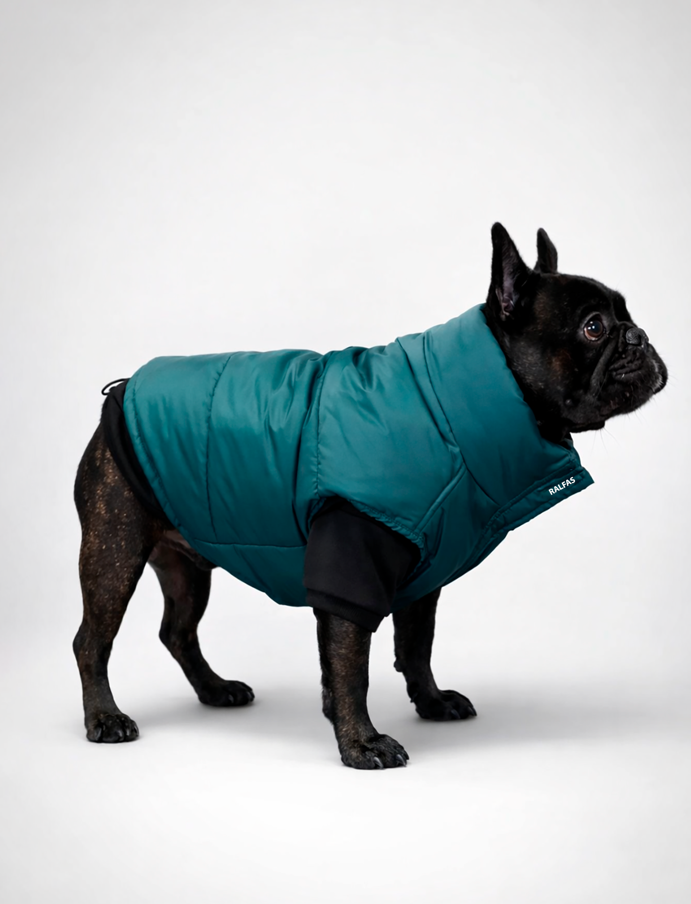 Chaqueta Puffer Verde