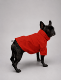 Chaqueta Impermeable de Lluvia - Roja