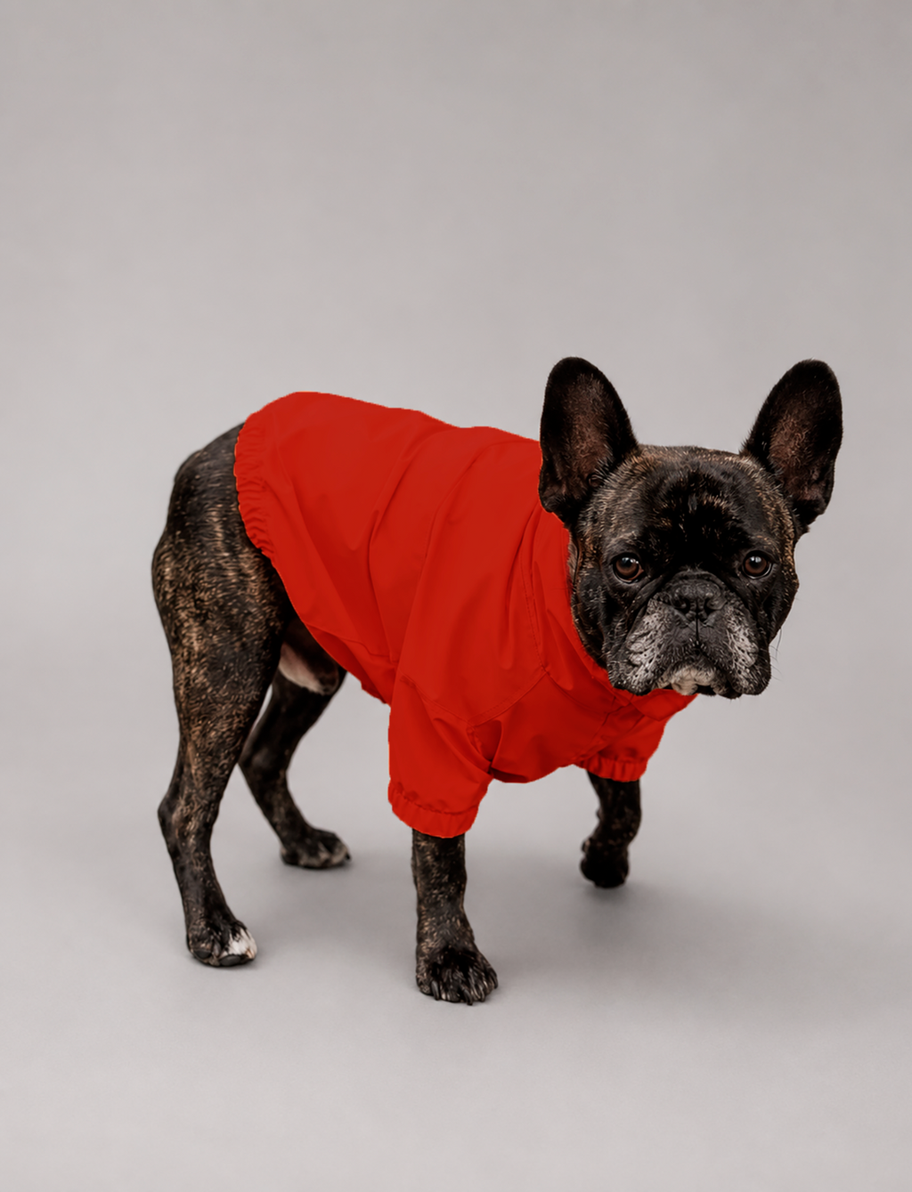 Chaqueta Impermeable Hipora® Rojo