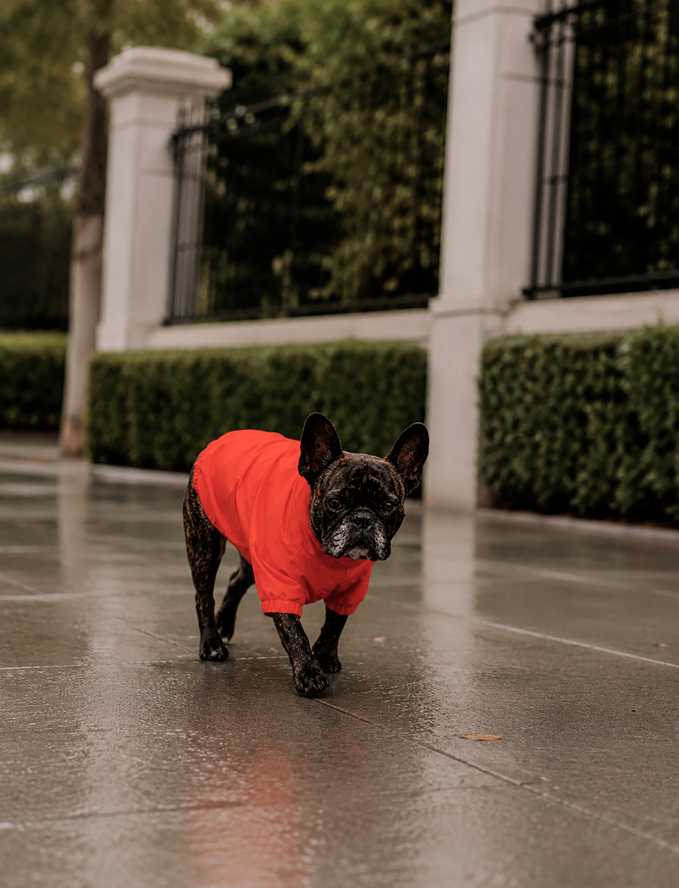Chaqueta Impermeable Hipora® Rojo