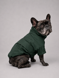 Chaqueta Impermeable de Lluvia - Verde