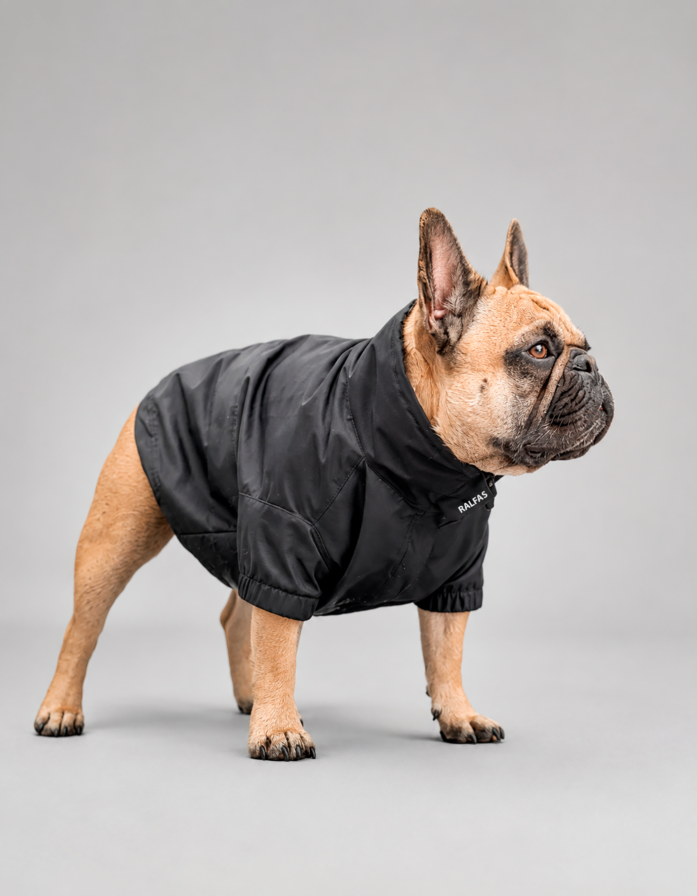 Chaqueta Impermeable Hipora® Negro