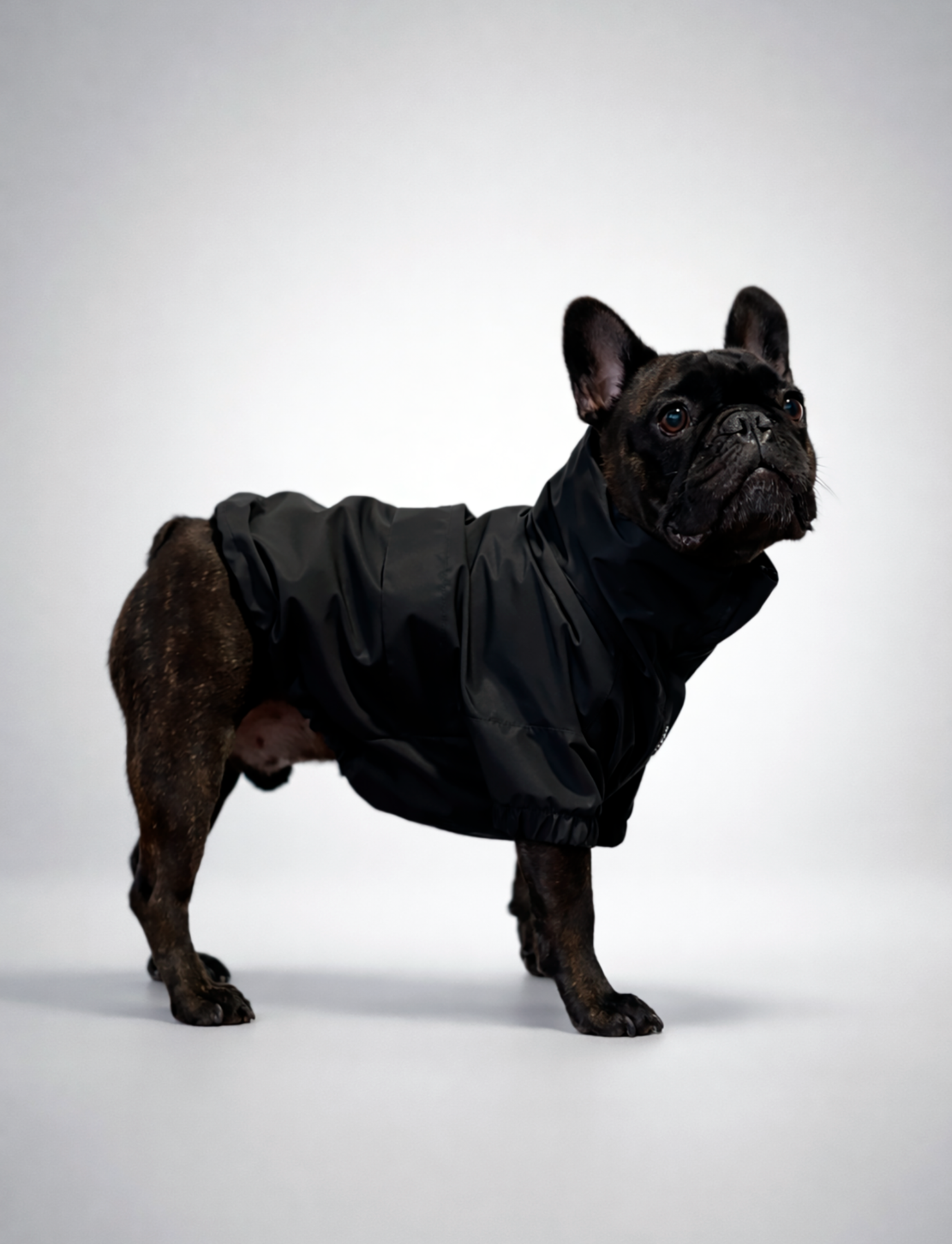 Chaqueta Impermeable Negra