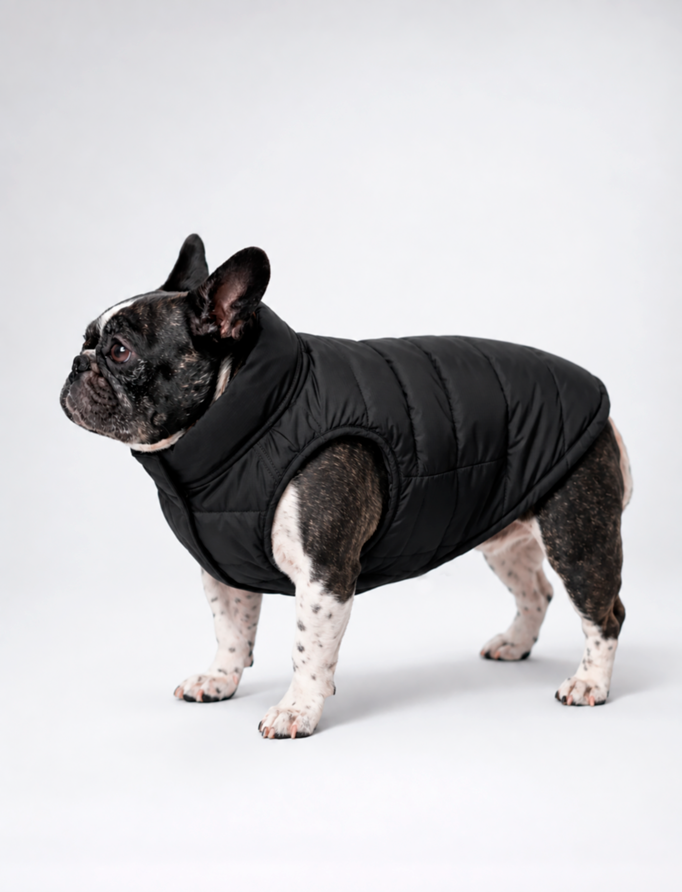 Chaqueta Puffer Negra - LIMITADA