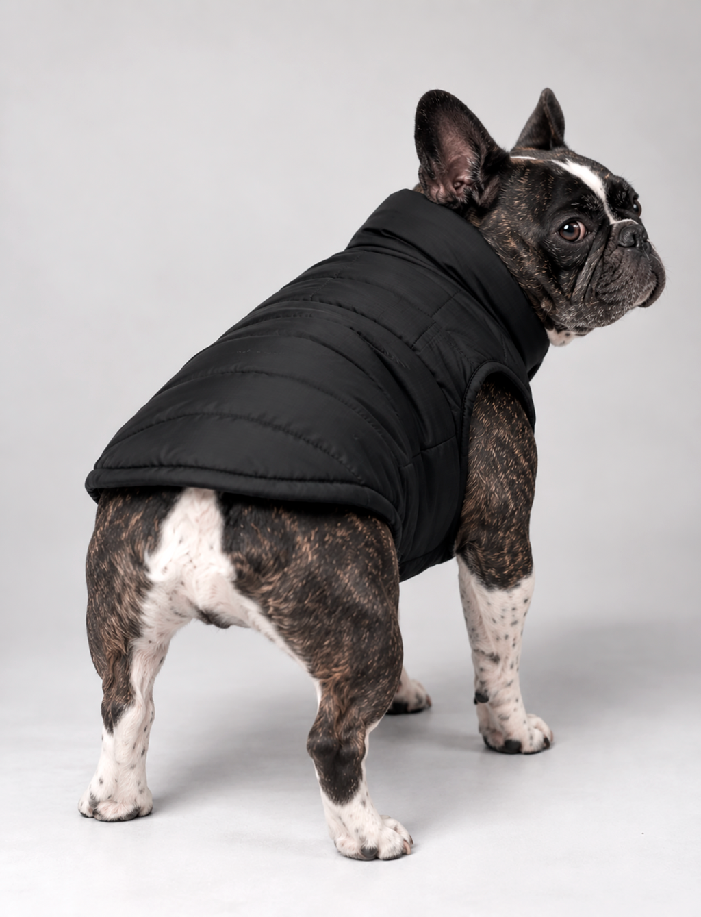 Chaqueta Puffer Negra - LIMITADA
