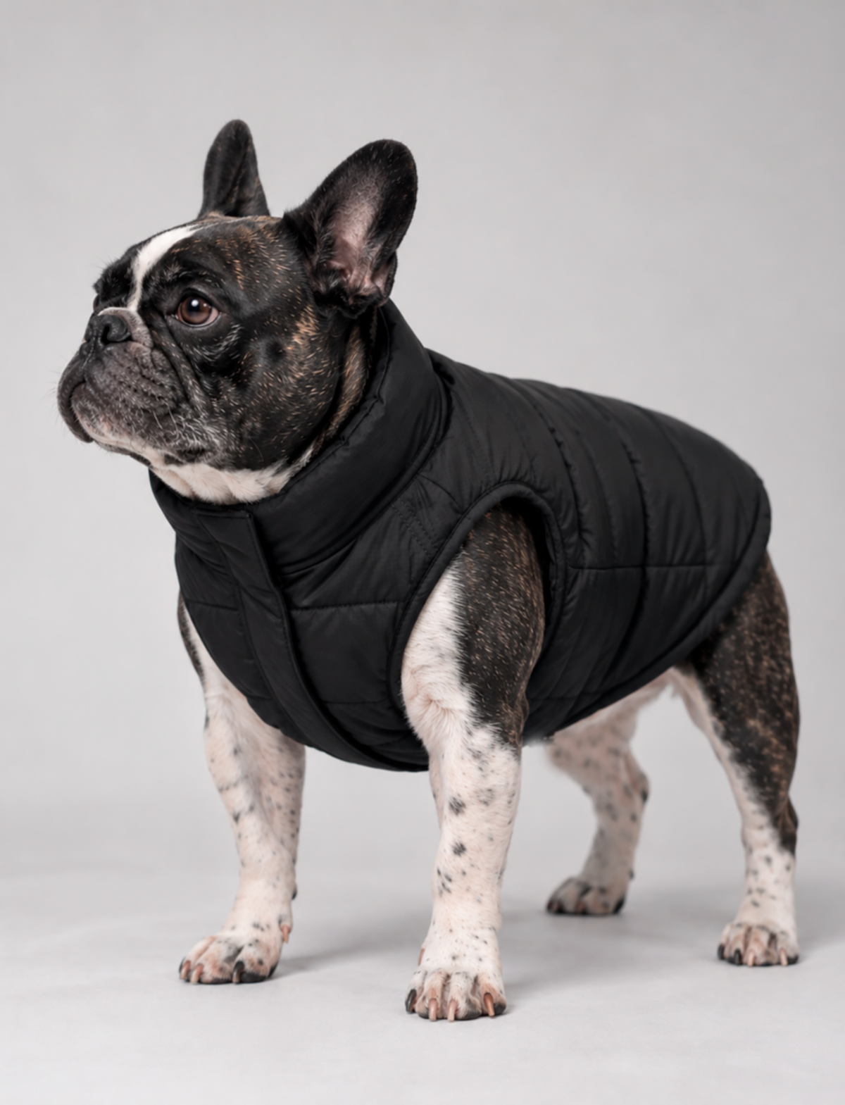 Chaqueta Puffer Negra - LIMITADA