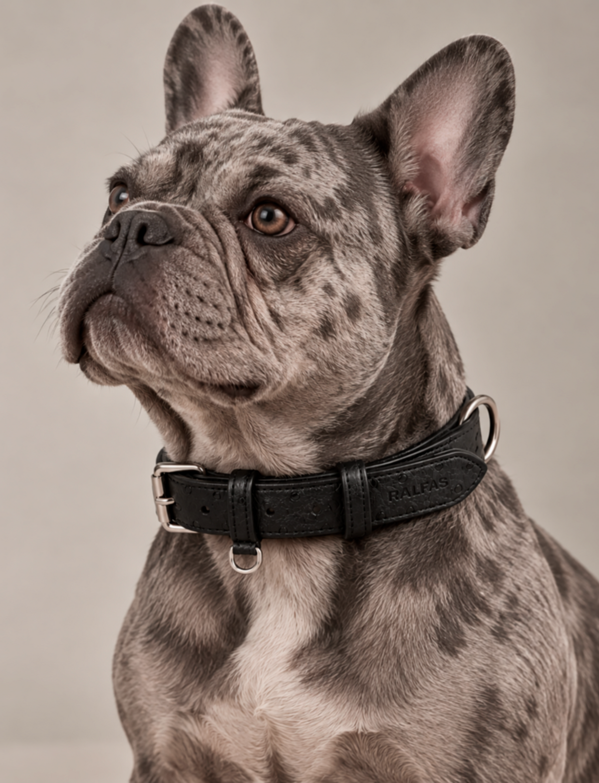 Collar Avestruz Negro