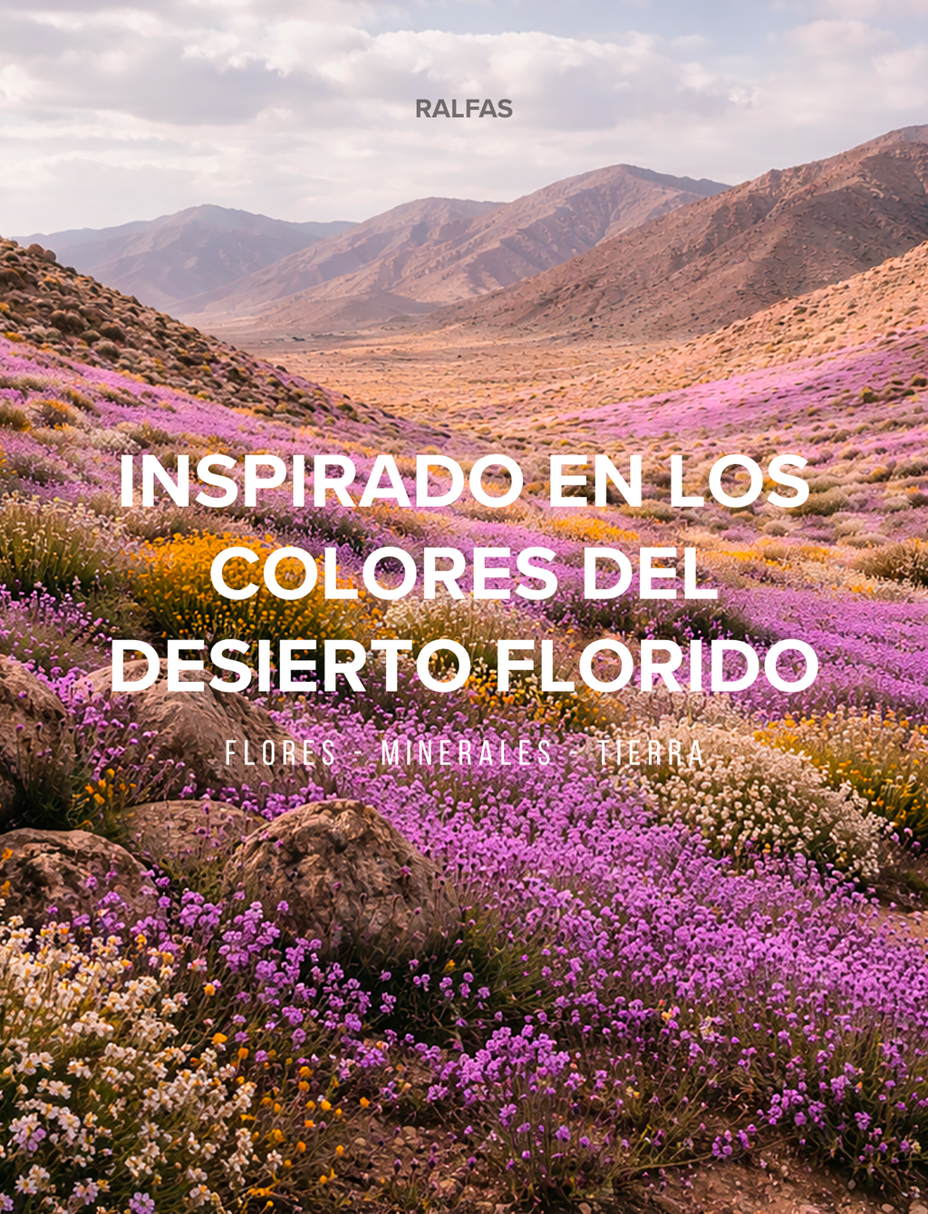 Poleron de Algodón - Desierto Florido