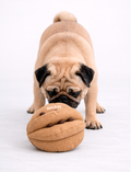 Pelota Olfativa Canela