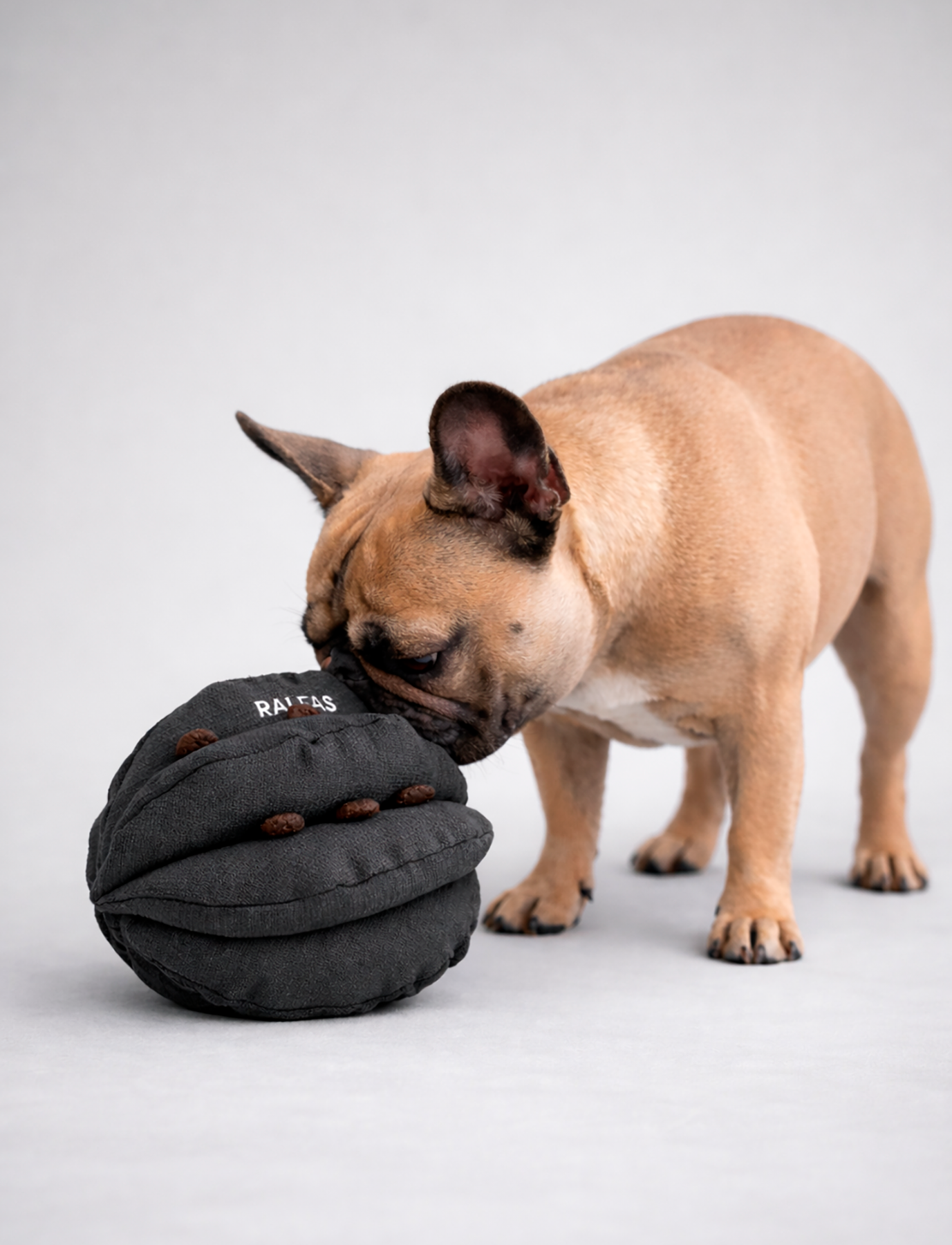 Pelota Olfativa | INTERACTIVO