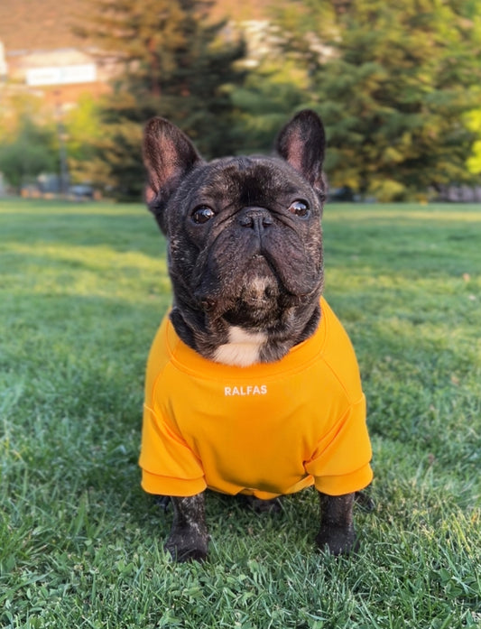 Polera Amarillo Oro | Quickdry® UPF+