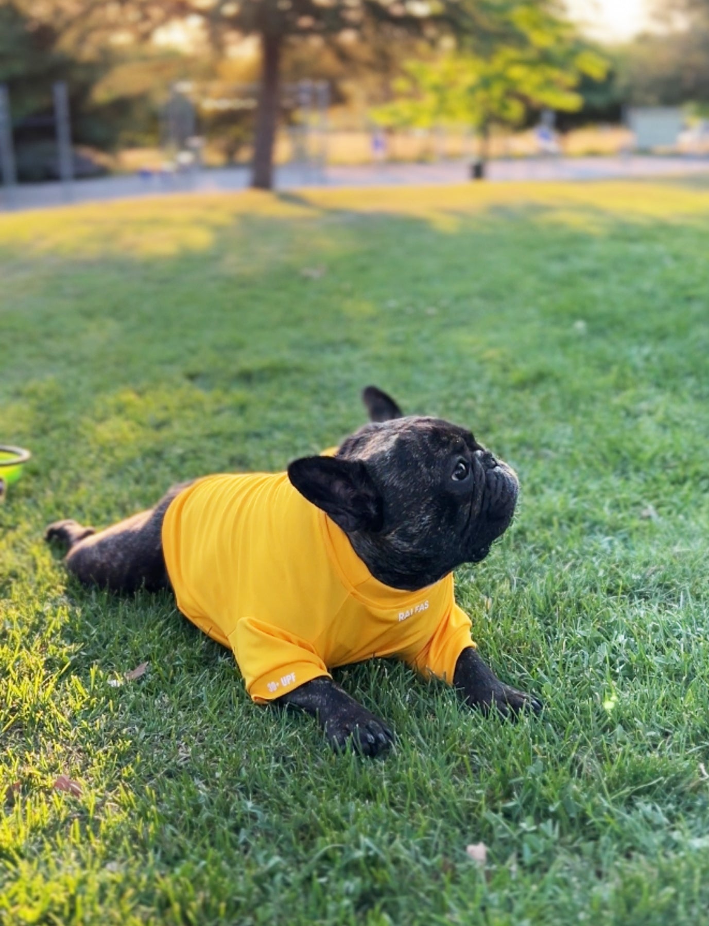 Polera Amarillo Oro | Quickdry® UPF+