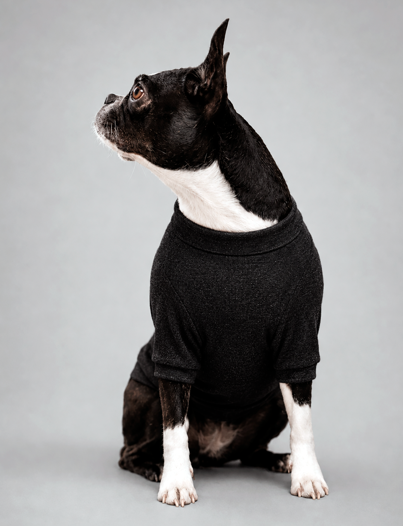 Polera Primera Capa Sofidry® Flex Comfy Warm