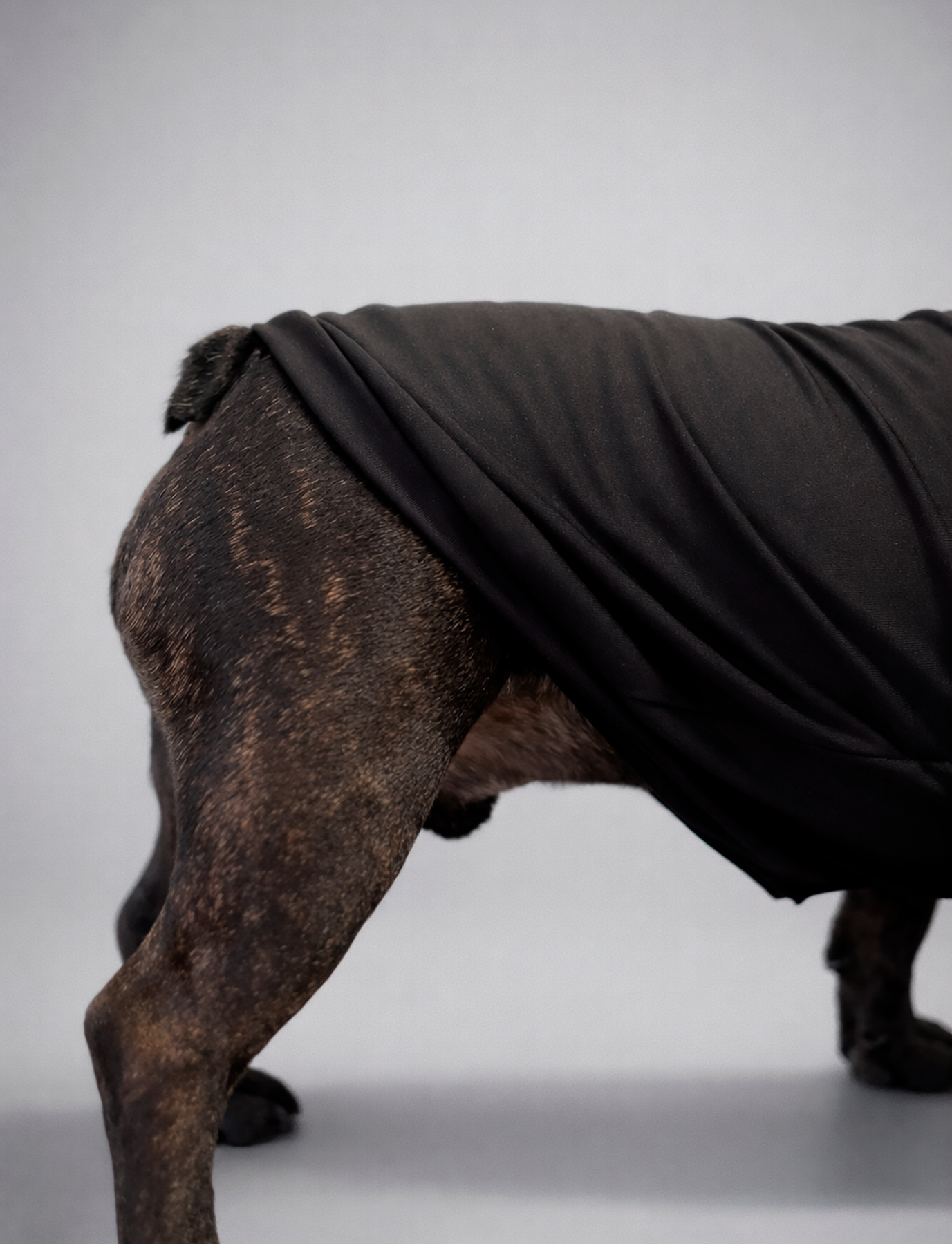 Polera Térmica Sofidry® Skin Stretch