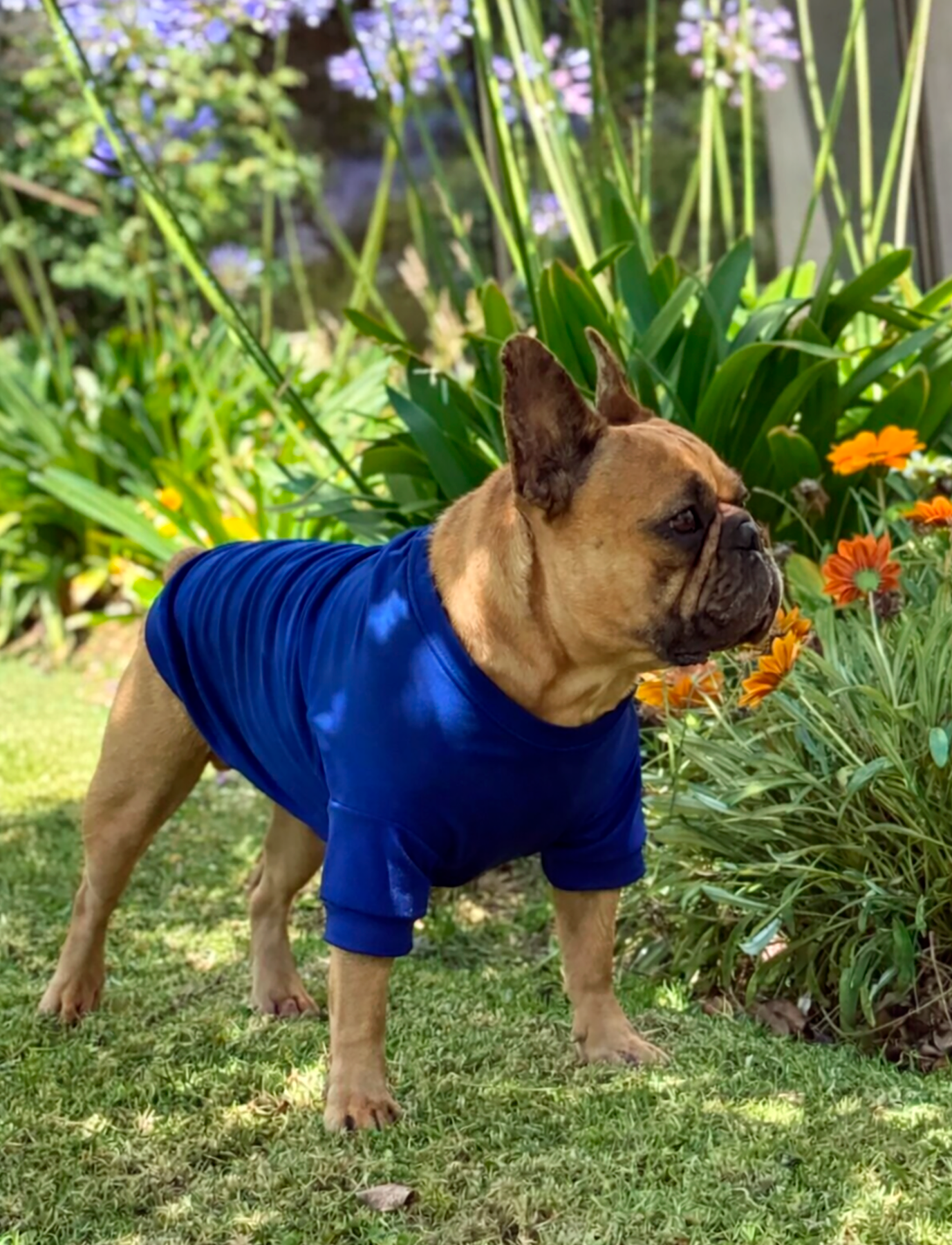 Polera Azulino | ENFRIAMIENTO