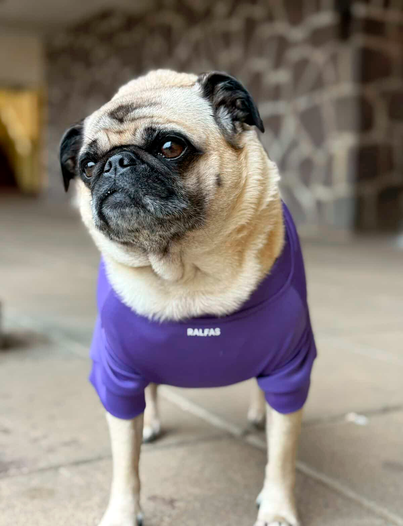 Polera Lila | ENFRIAMIENTO