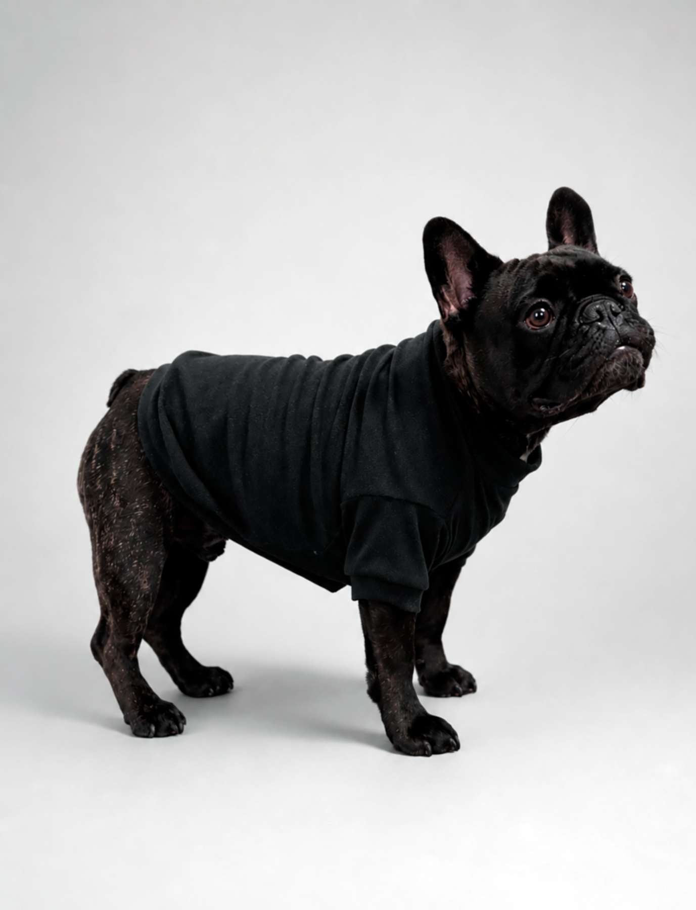 Polera Térmica Sofidry® Flex Comfy Warm