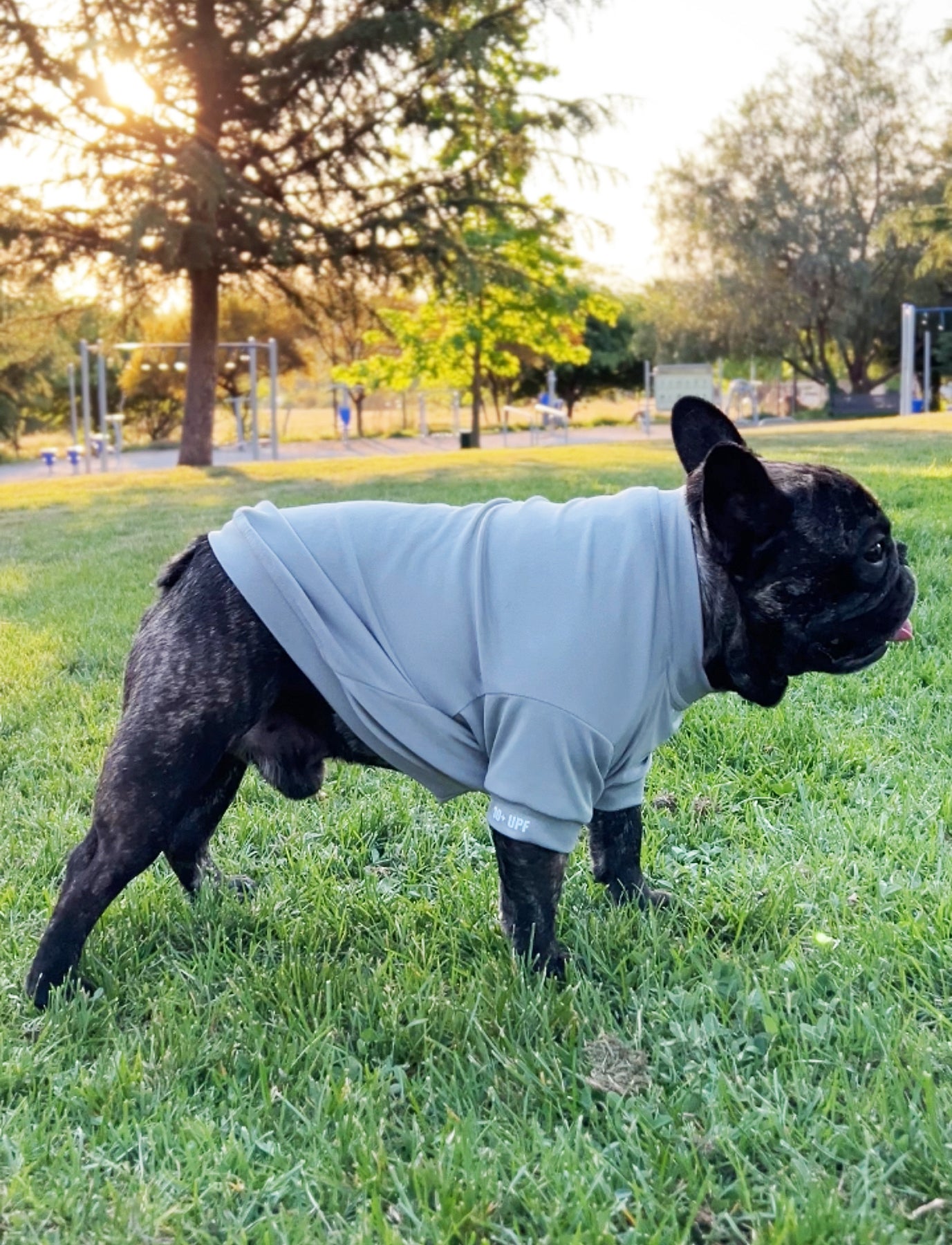 Polera Gris | Quickdry® UPF+