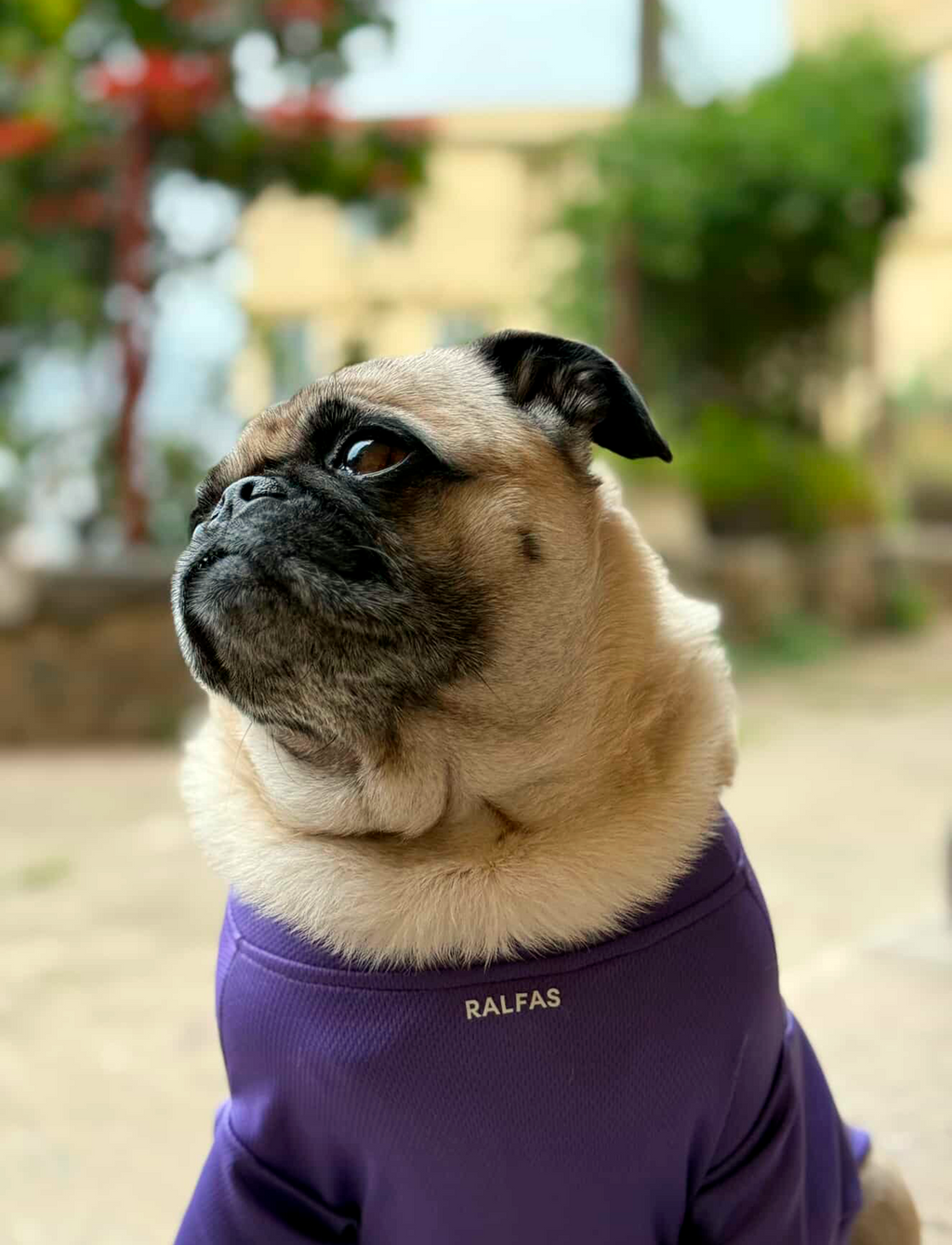 Polera Lila | ENFRIAMIENTO