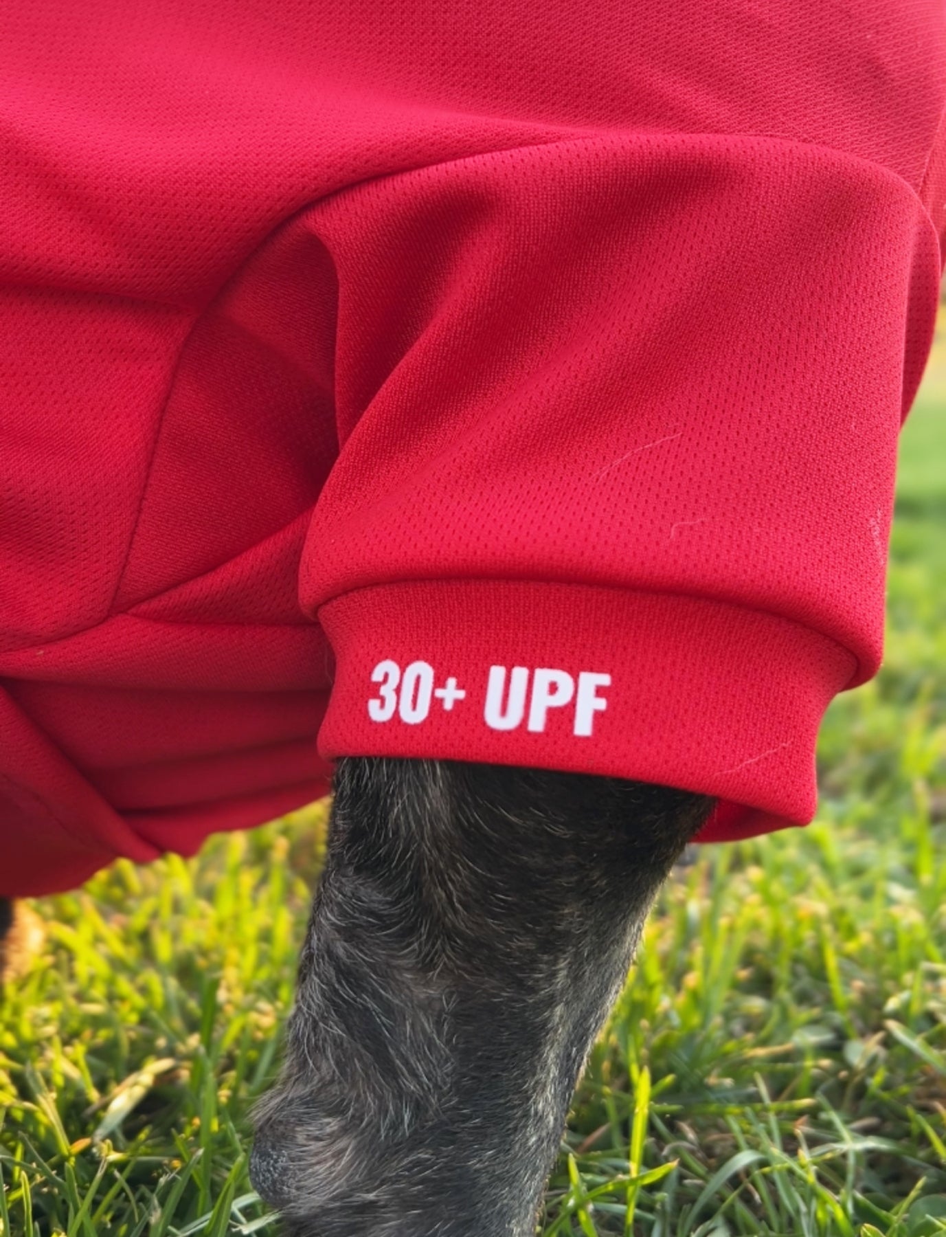 Polera Rojo Fucsia | Quickdry®