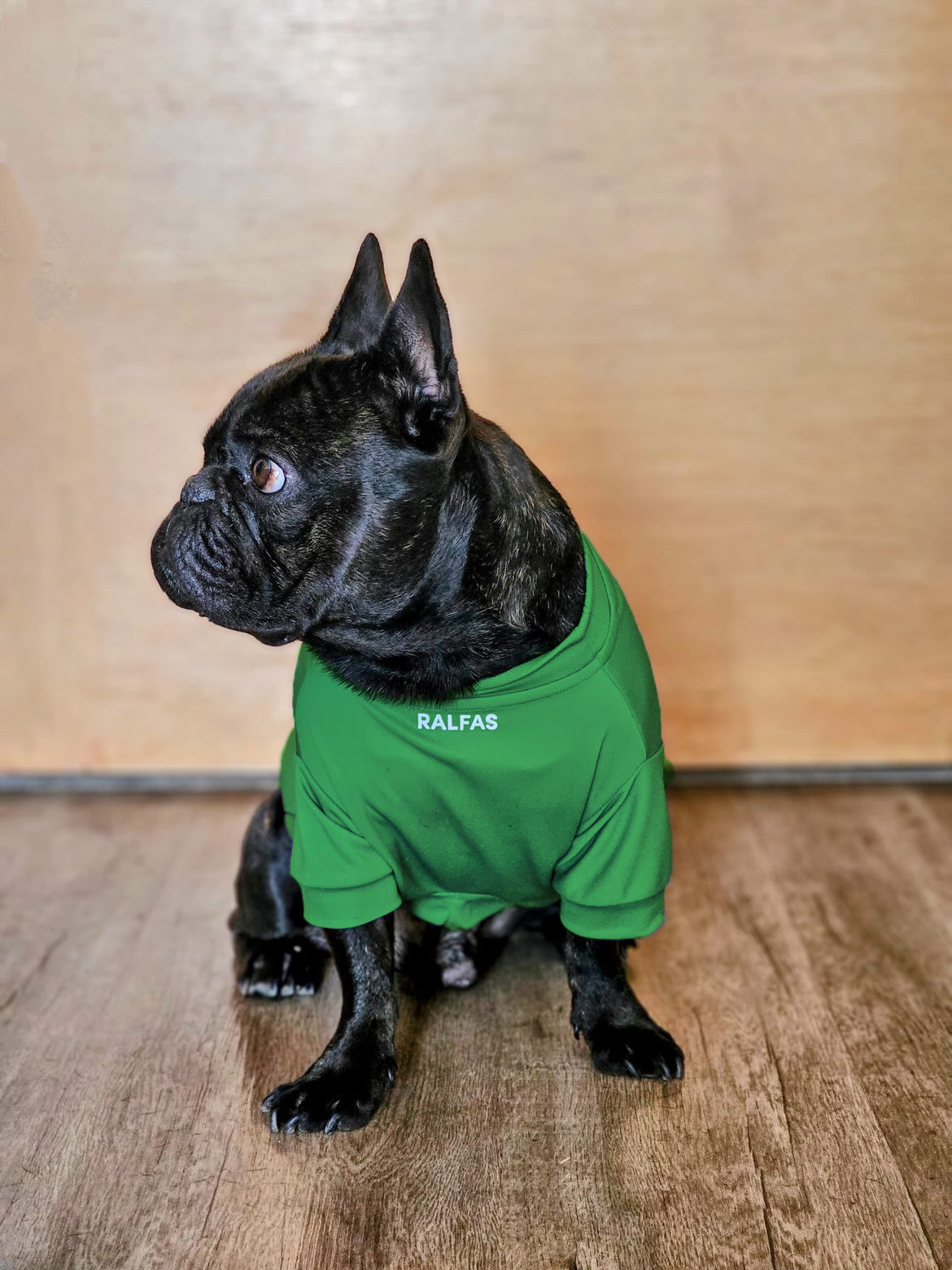 Polera Verde Cactus | Quickdry®