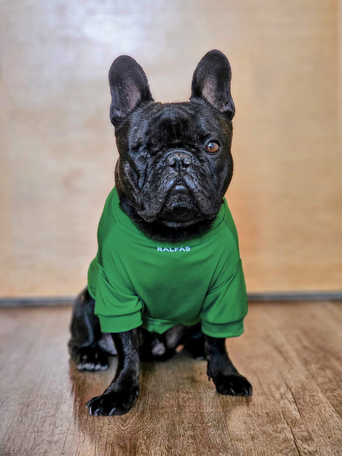 Polera Verde Cactus | Quickdry®