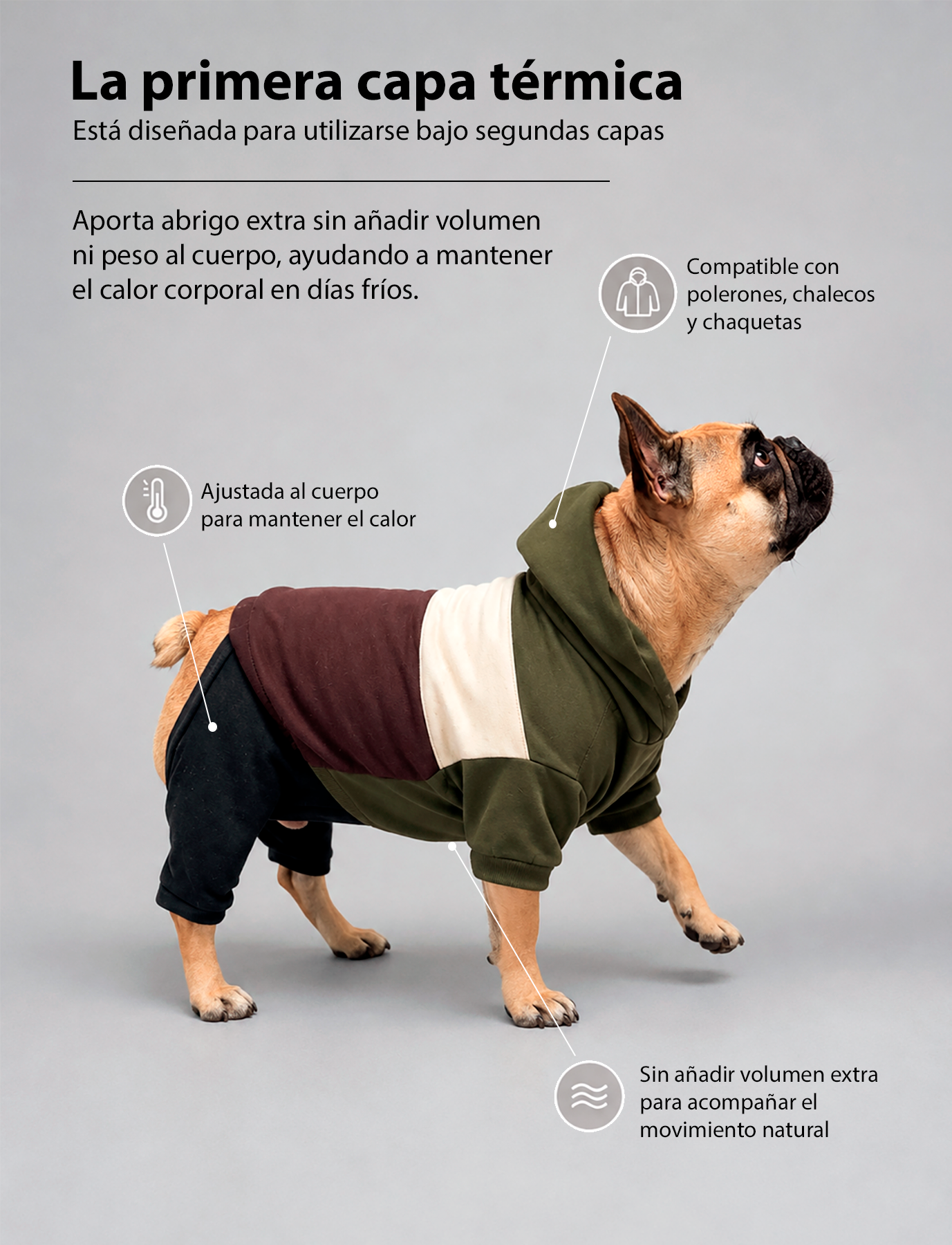 Primera Capa Completa Térmica Sofidry® Flex Comfy Warm