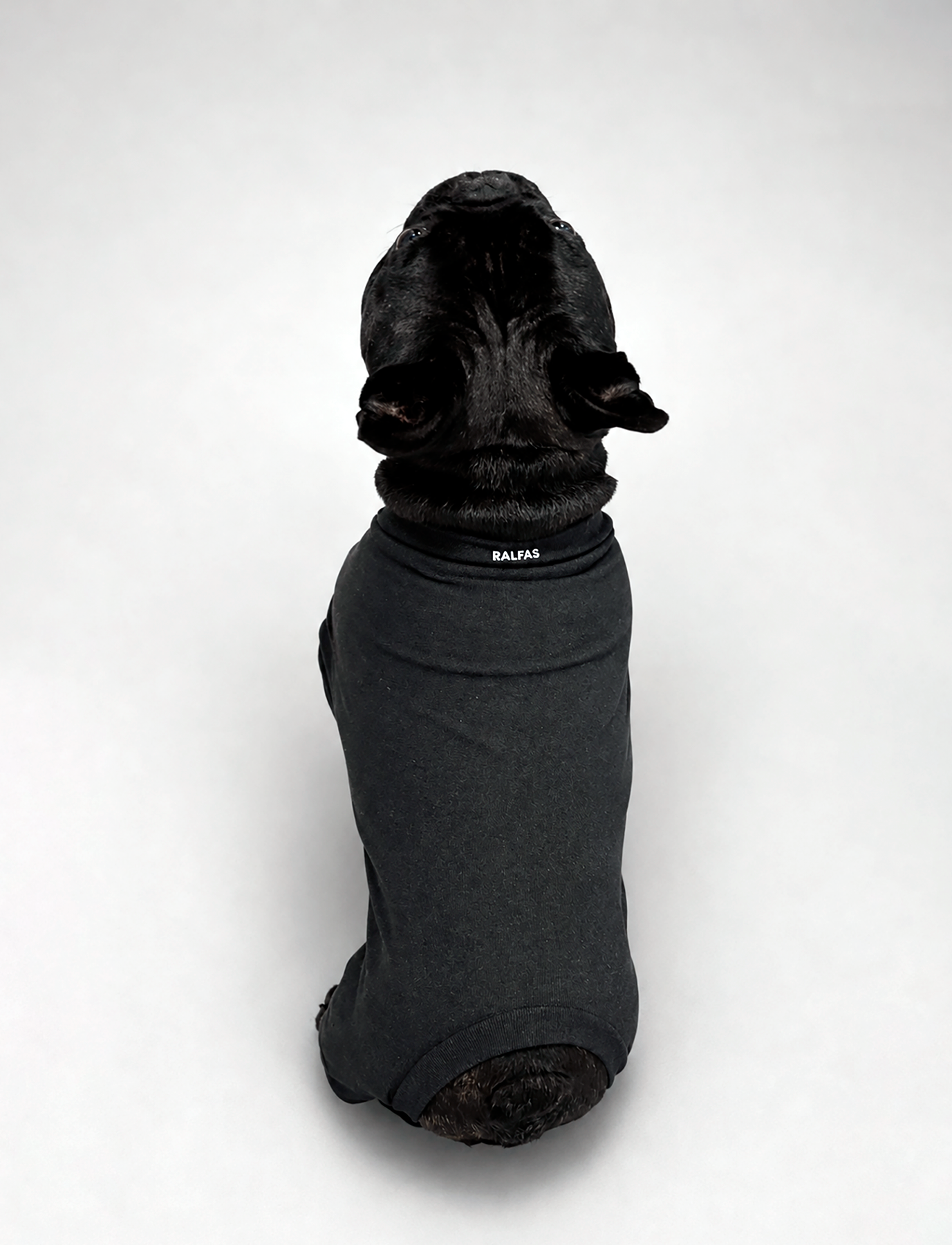 Primera Capa Térmica Sofidry® Flex Comfy Warm