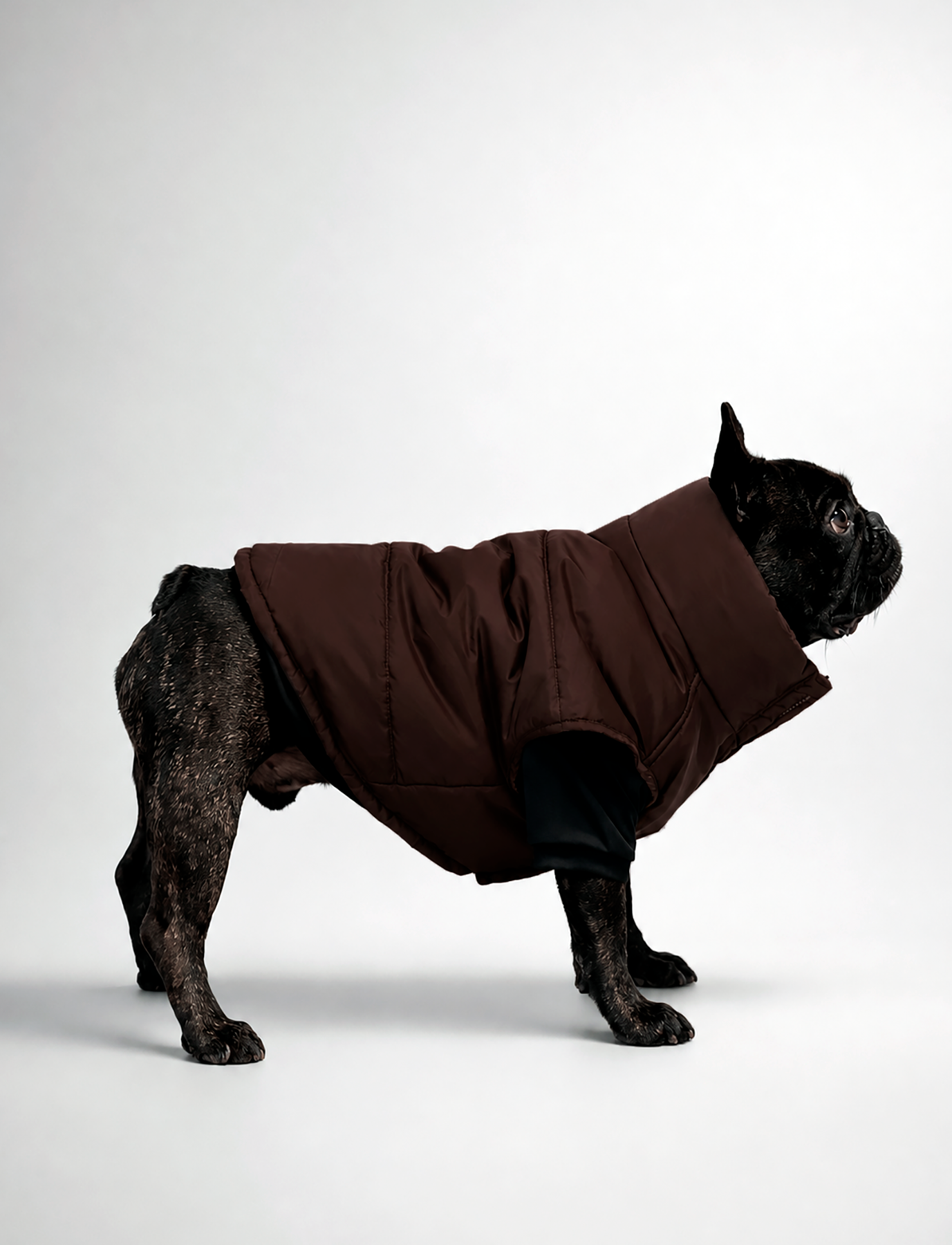 Chaqueta Puffer Chocolate
