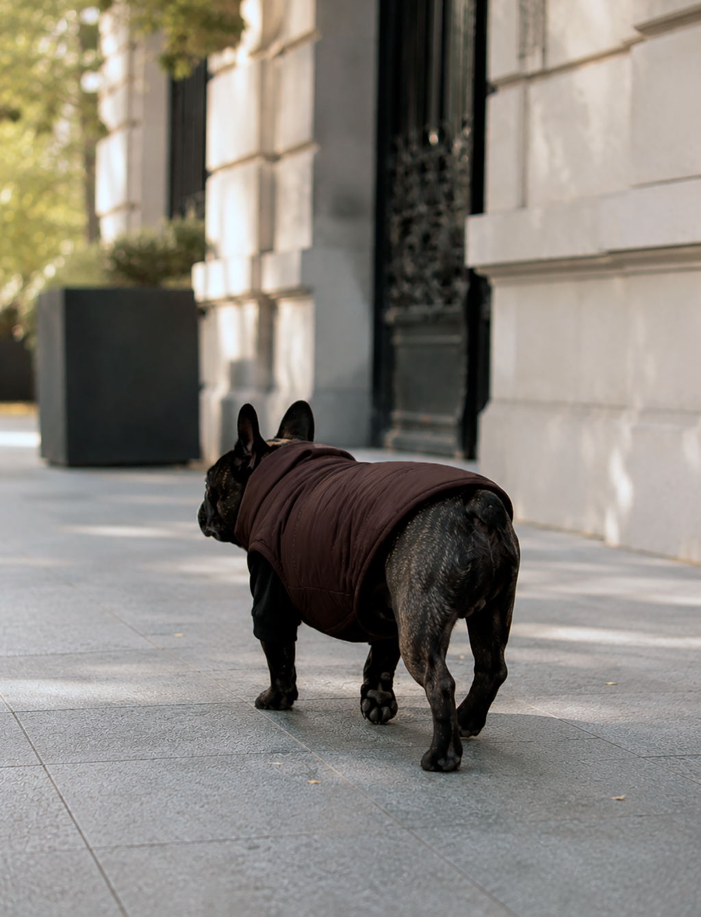 Chaqueta Puffer Chocolate