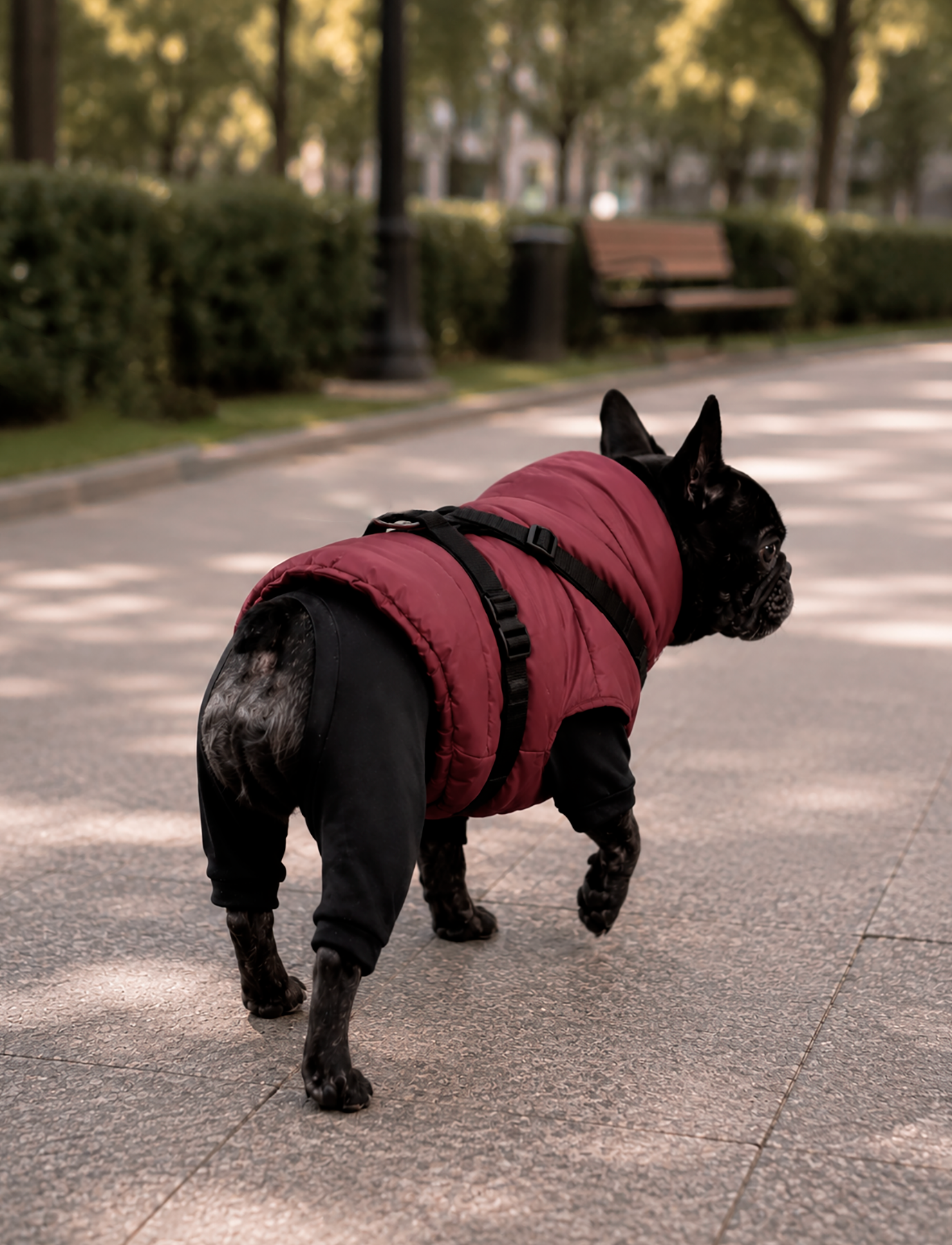 Chaqueta Puffer Burdeo