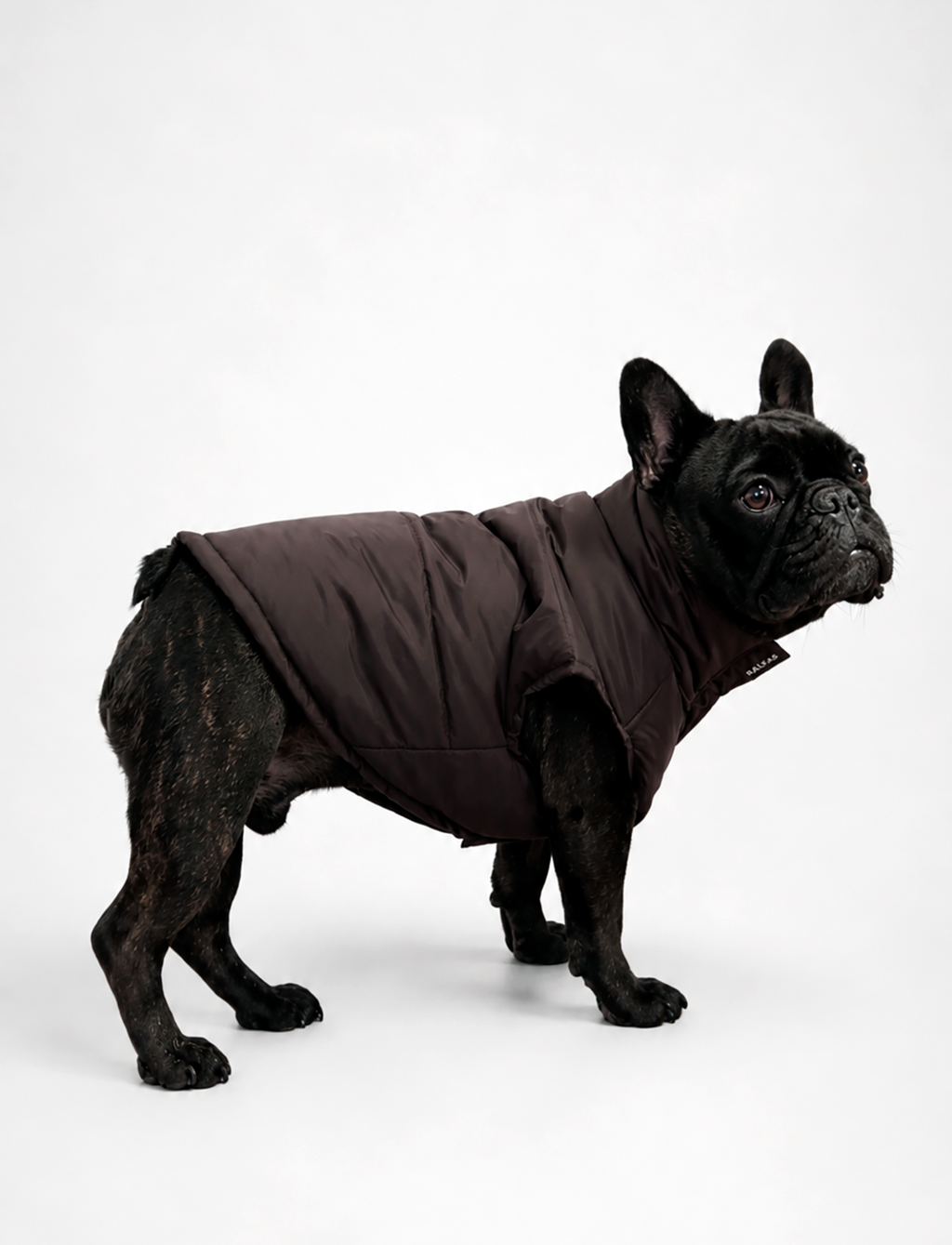 Chaqueta Puffer de Invierno – Chocolate