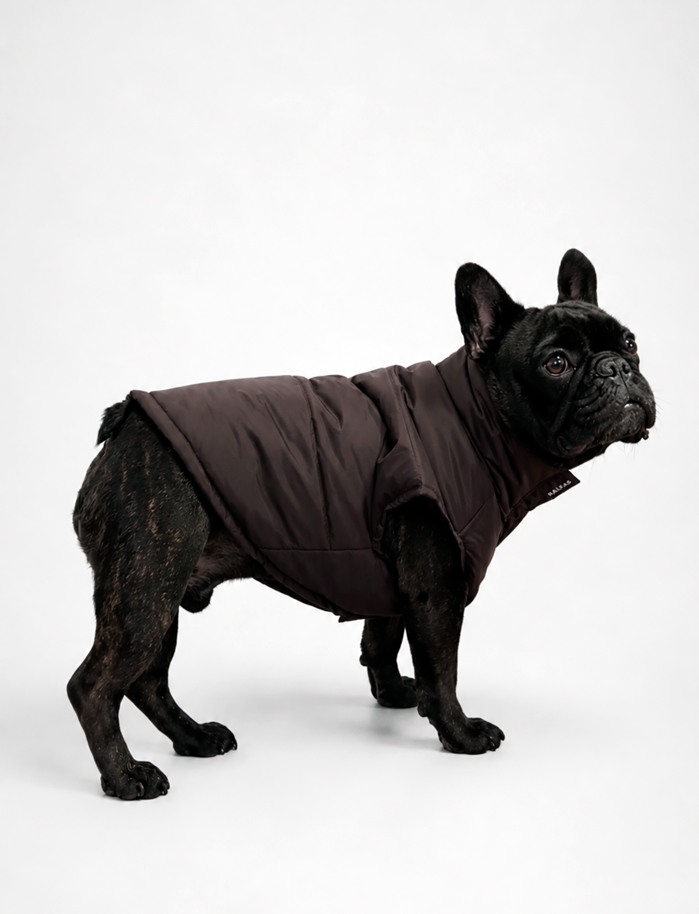 Chaqueta Puffer de Invierno – Chocolate